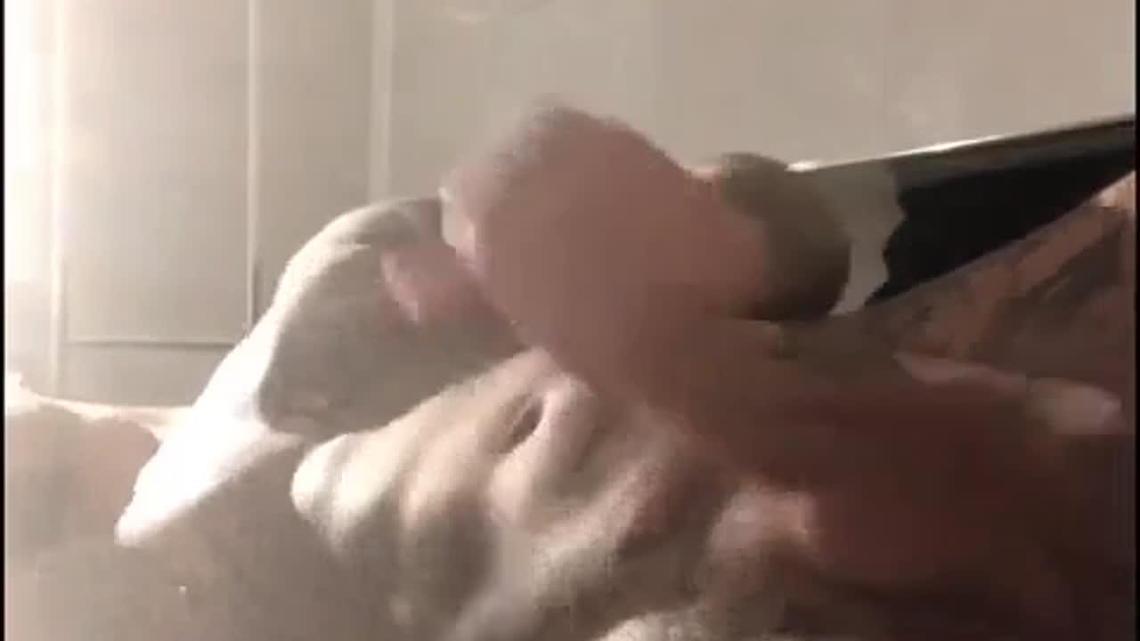 4 X Factor contestant tattooed hunk Ellis Lacy elecy123 onlyfans porn