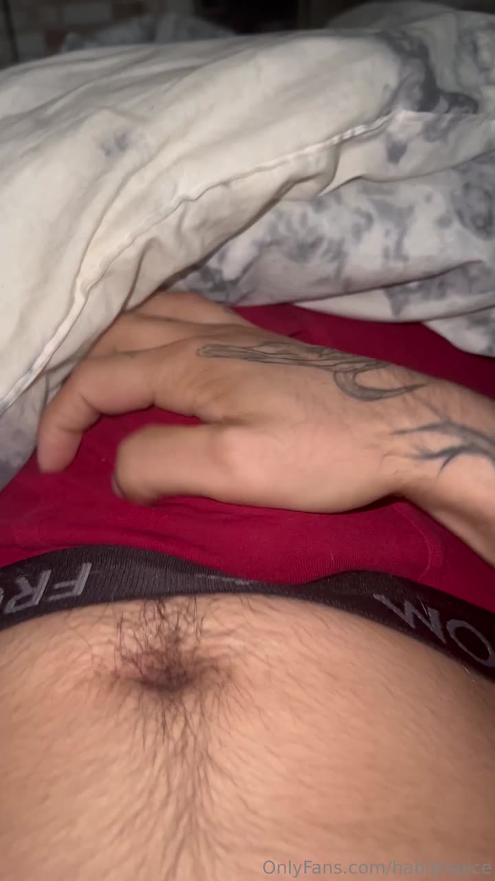 129 Arab Youtuber Rudy Ayoub habibispice OnlyFans LEAKED
