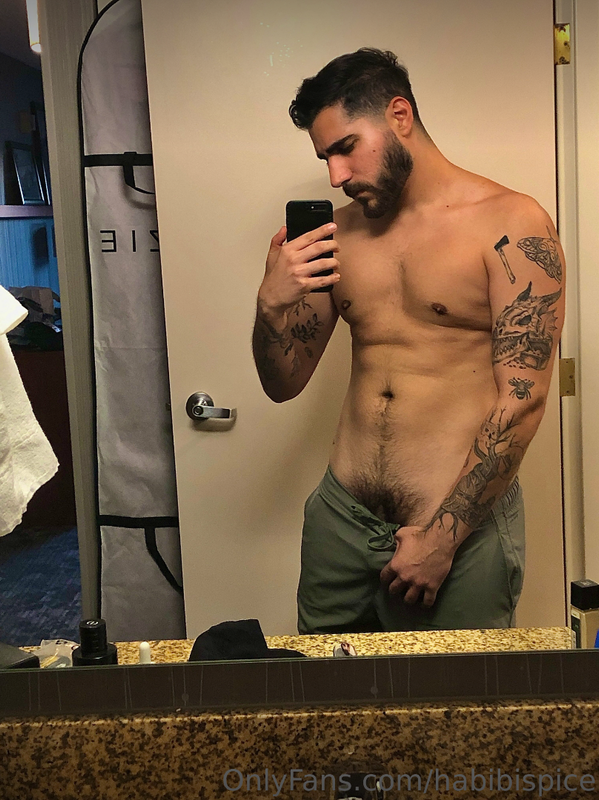77 Arab Youtuber Rudy Ayoub habibispice OnlyFans LEAKED