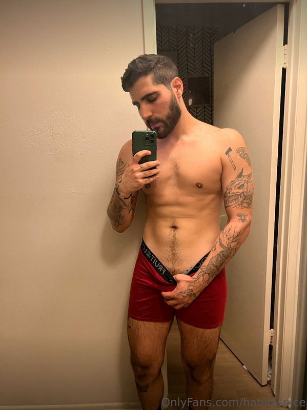87 Arab Youtuber Rudy Ayoub habibispice OnlyFans LEAKED