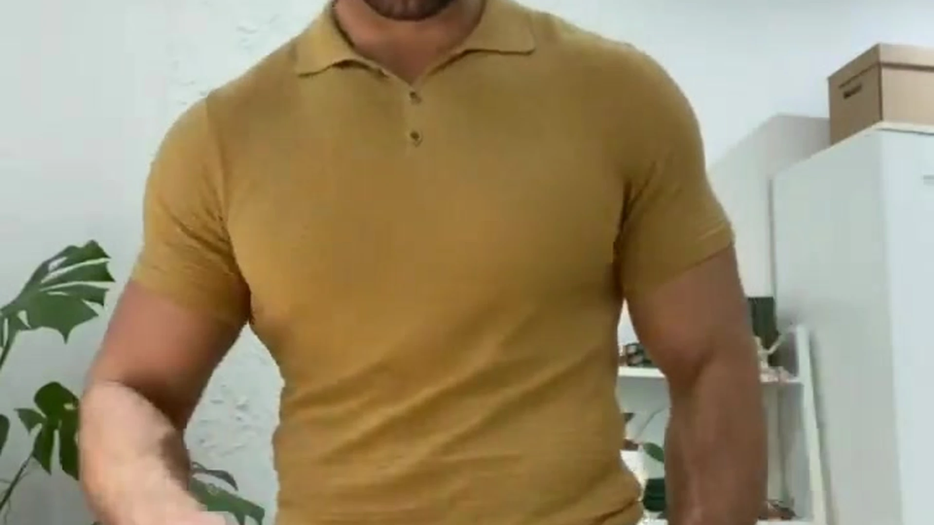 bodybuilder porn ArchiPan masturbating Sensational