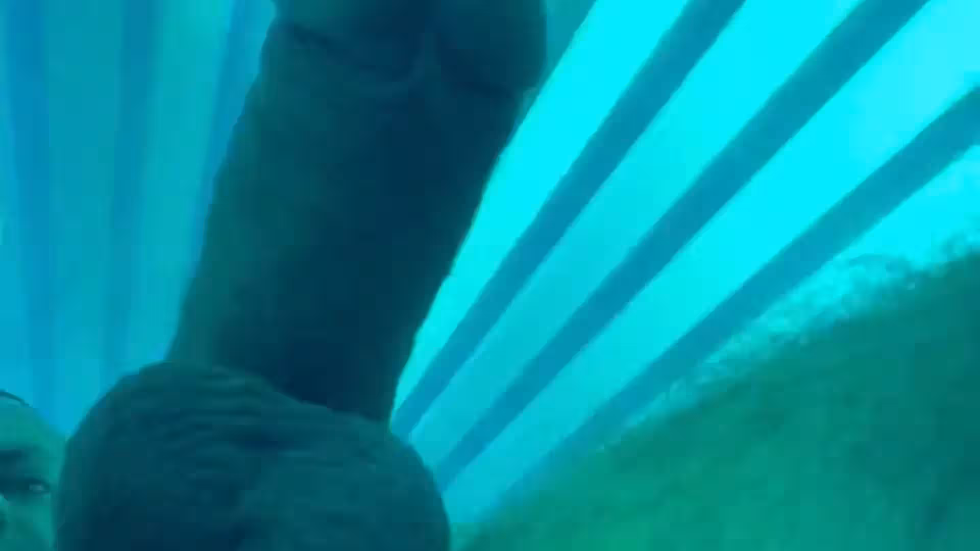 pecs ArchiPan porn full vid