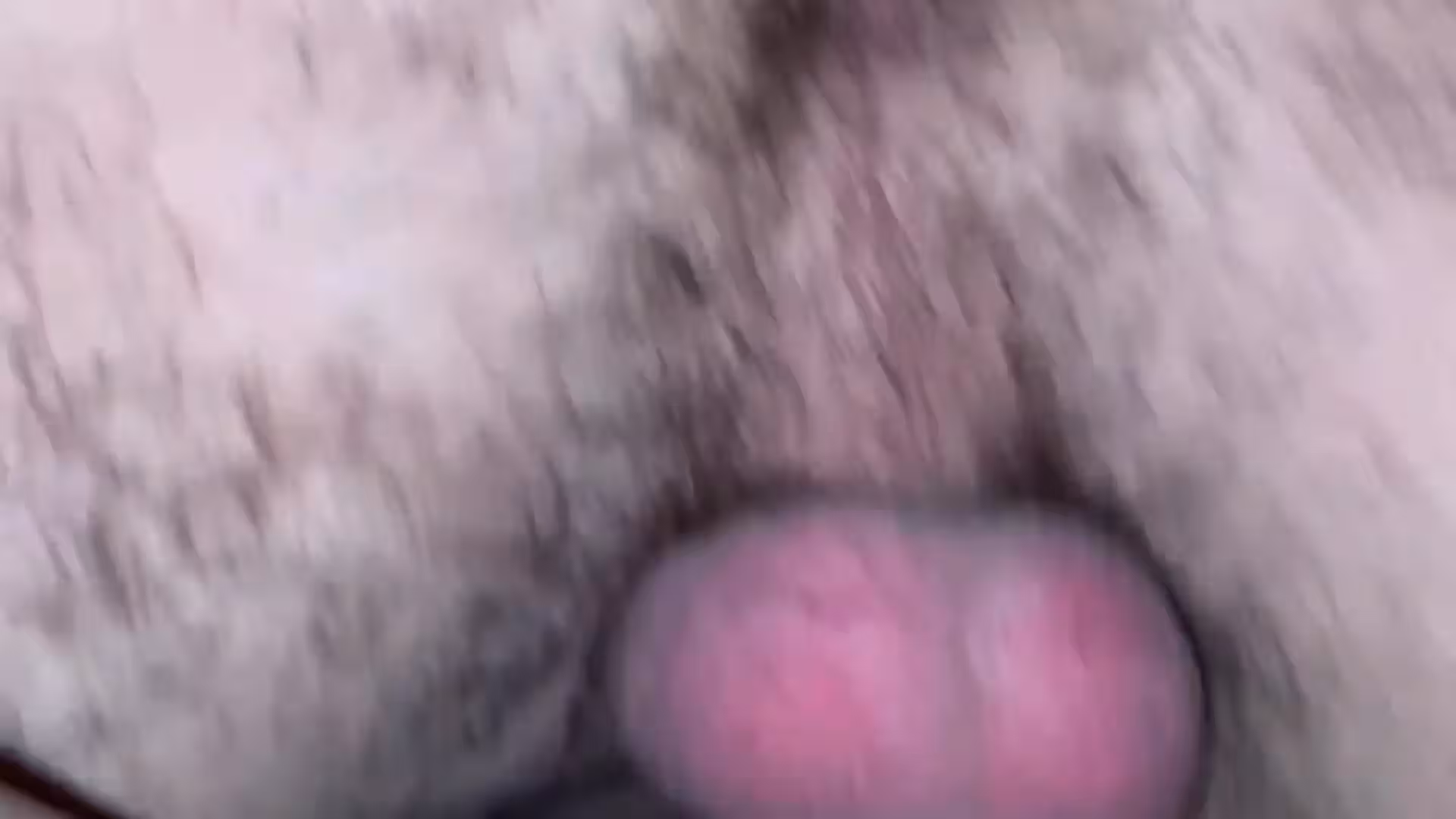 sexy abs Artur_kratko onlyfans wife fuck  Vid Epic