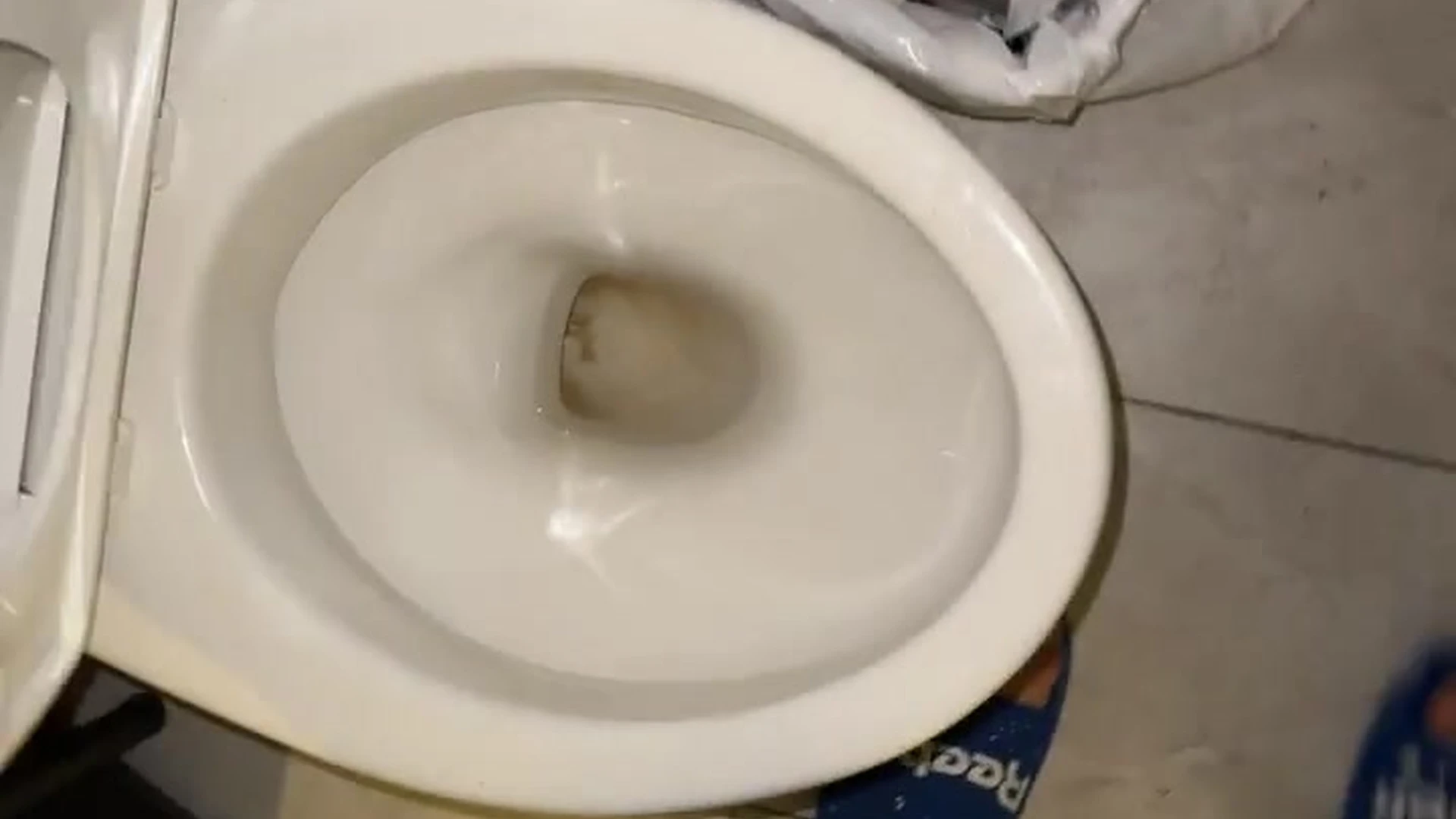gattouzo Gattouz0 ass
10
