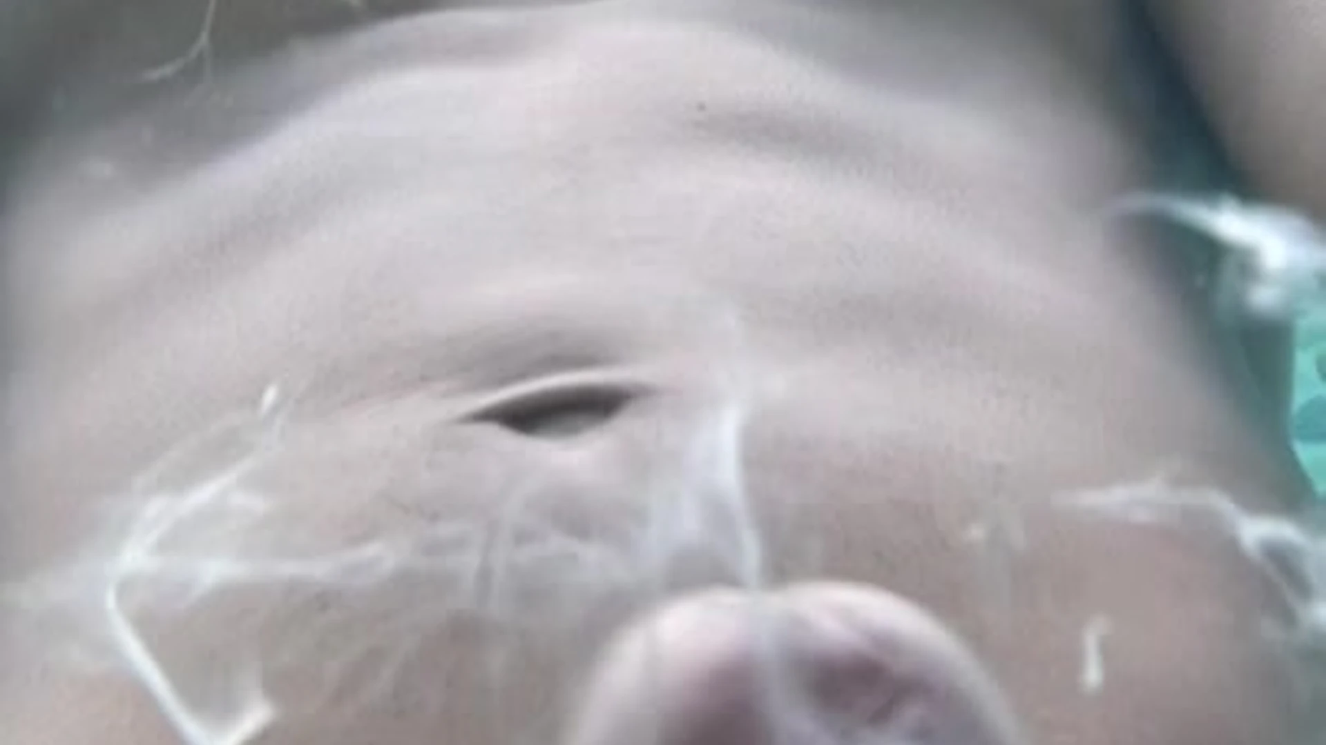 enchanting suck brazilian Diego Barros porn
0