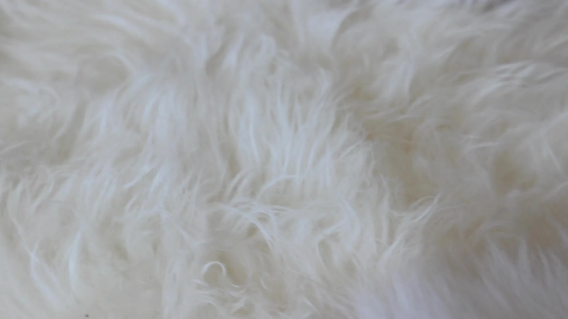 Sensational Amicable passivo evanpeix leaked nudes x Exclusive full video
0