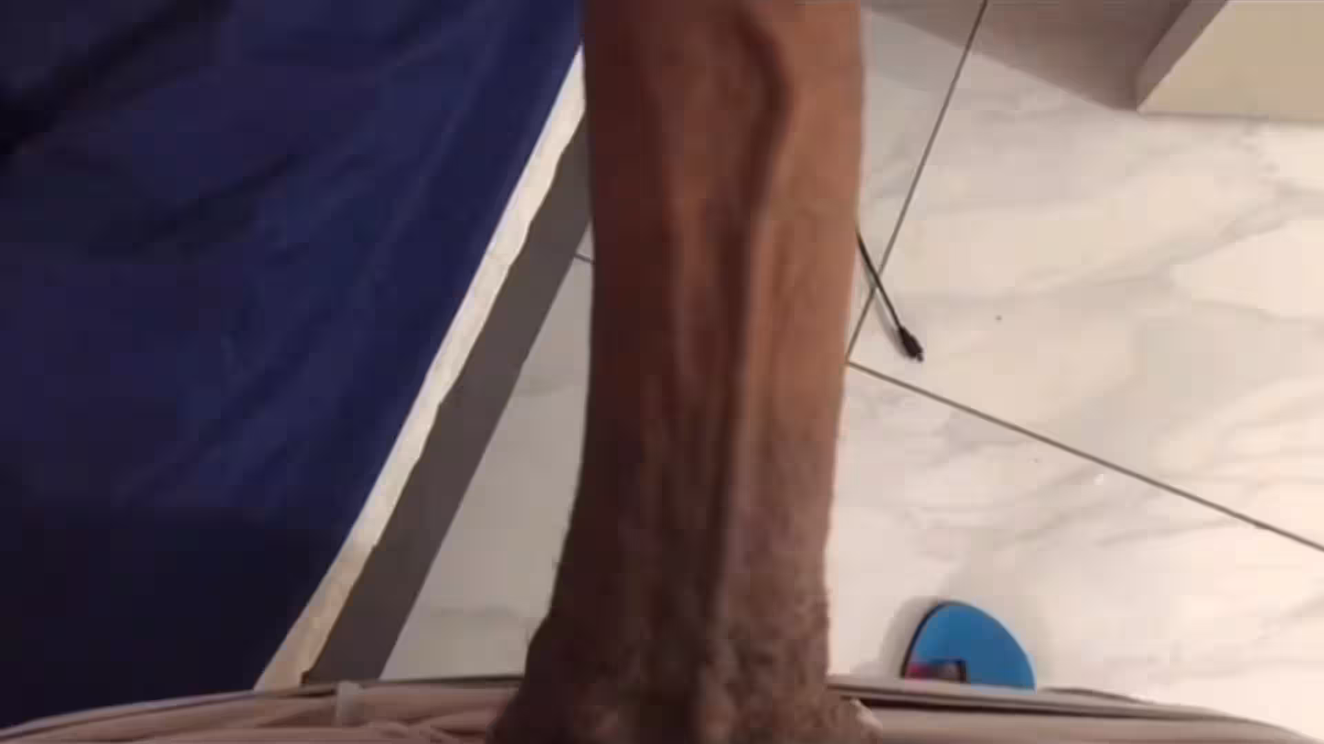 e-boy big dick hungadonis Onlyfans Leak
0