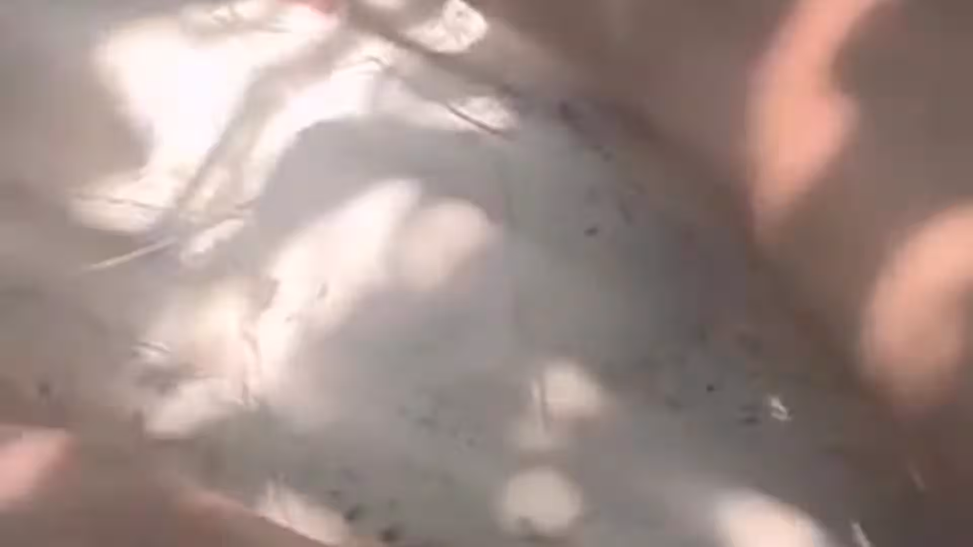 fit dibarrosss Diego Barros   Video
0