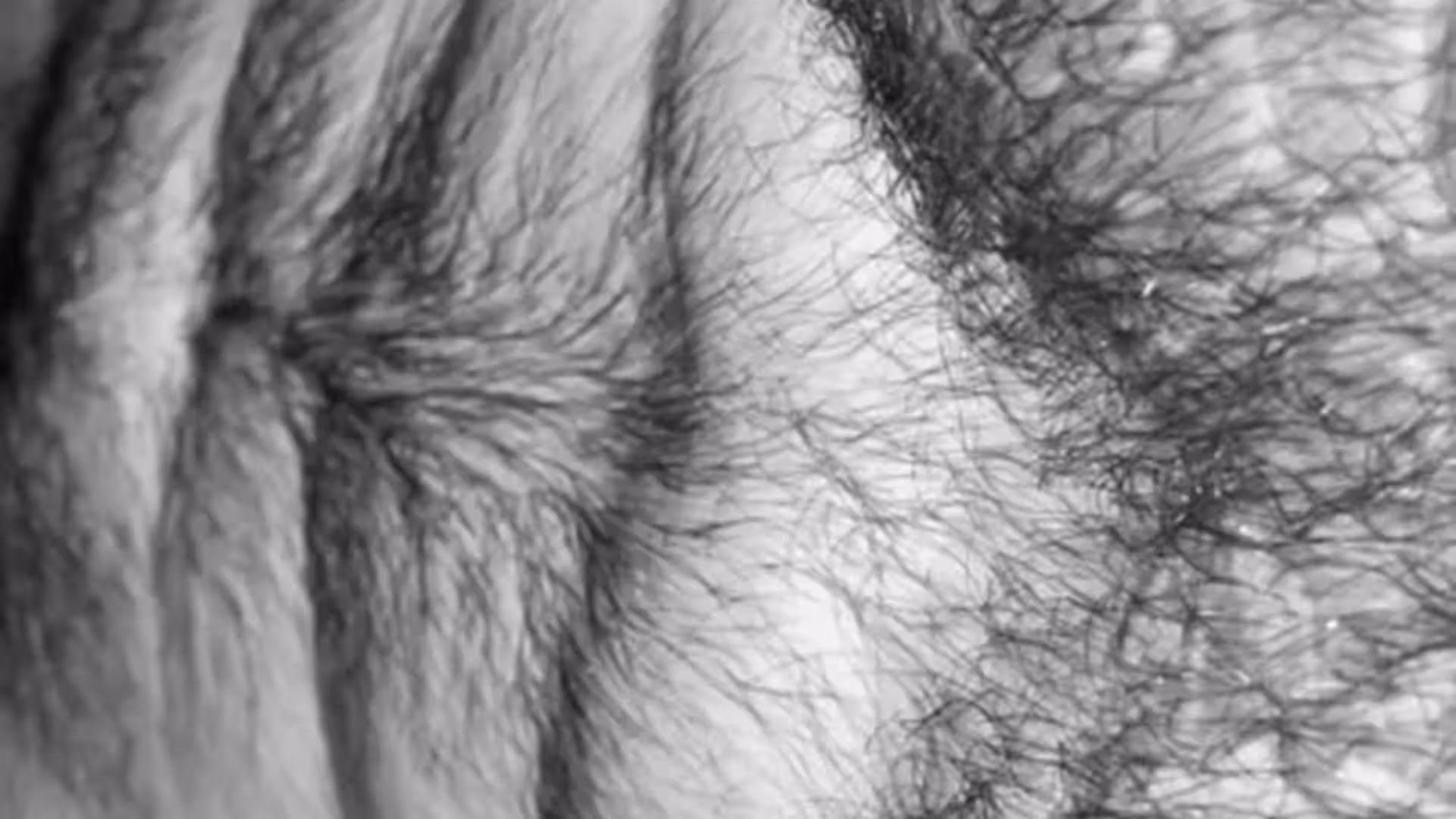 hairy Hatts17 onlyfans Full leaked video
0