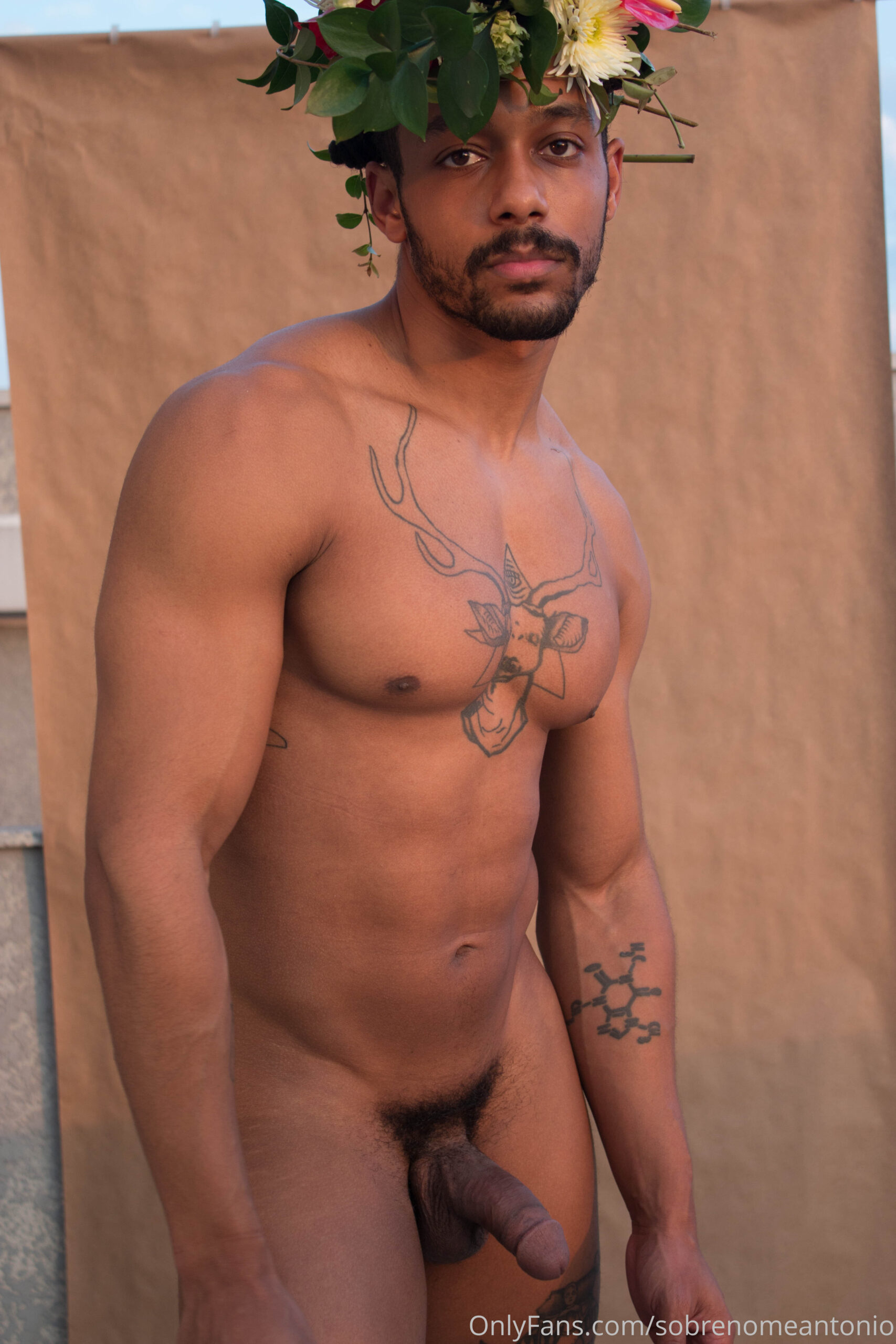 bitch boy BBC sobrenomeantonio sextape
0