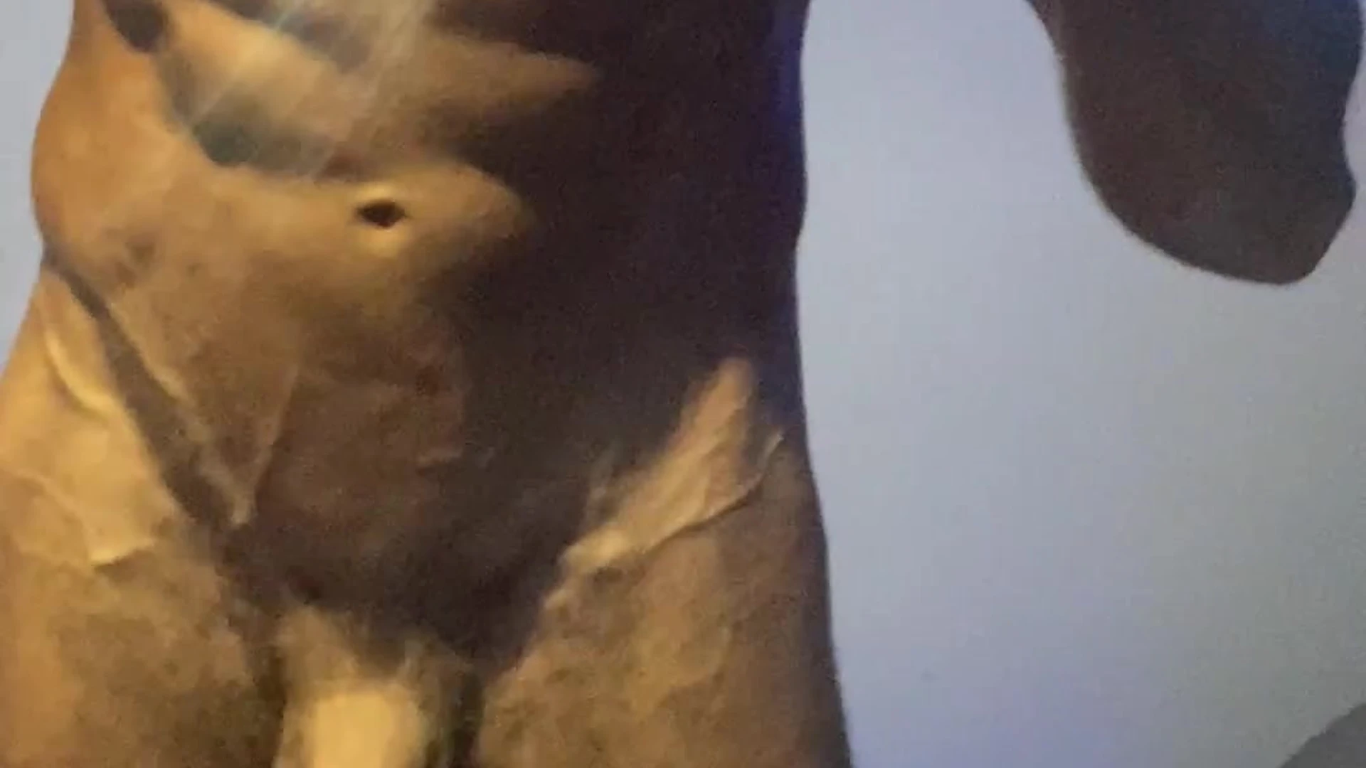 Self-assured masturbate cum Jake Herbert nude porn leak
1