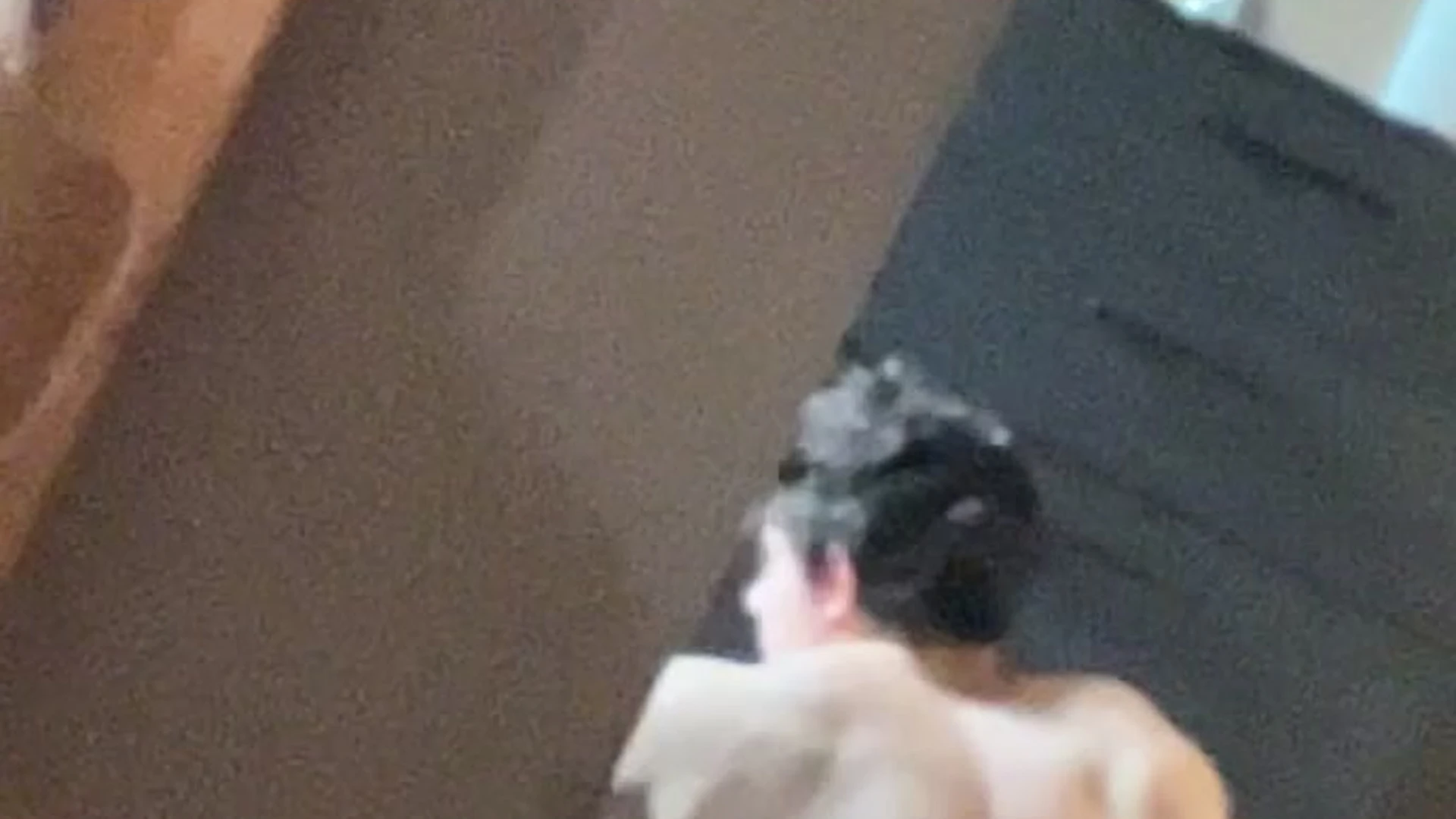 anal toys cjclarkofficial naked Exclusive vid full
0