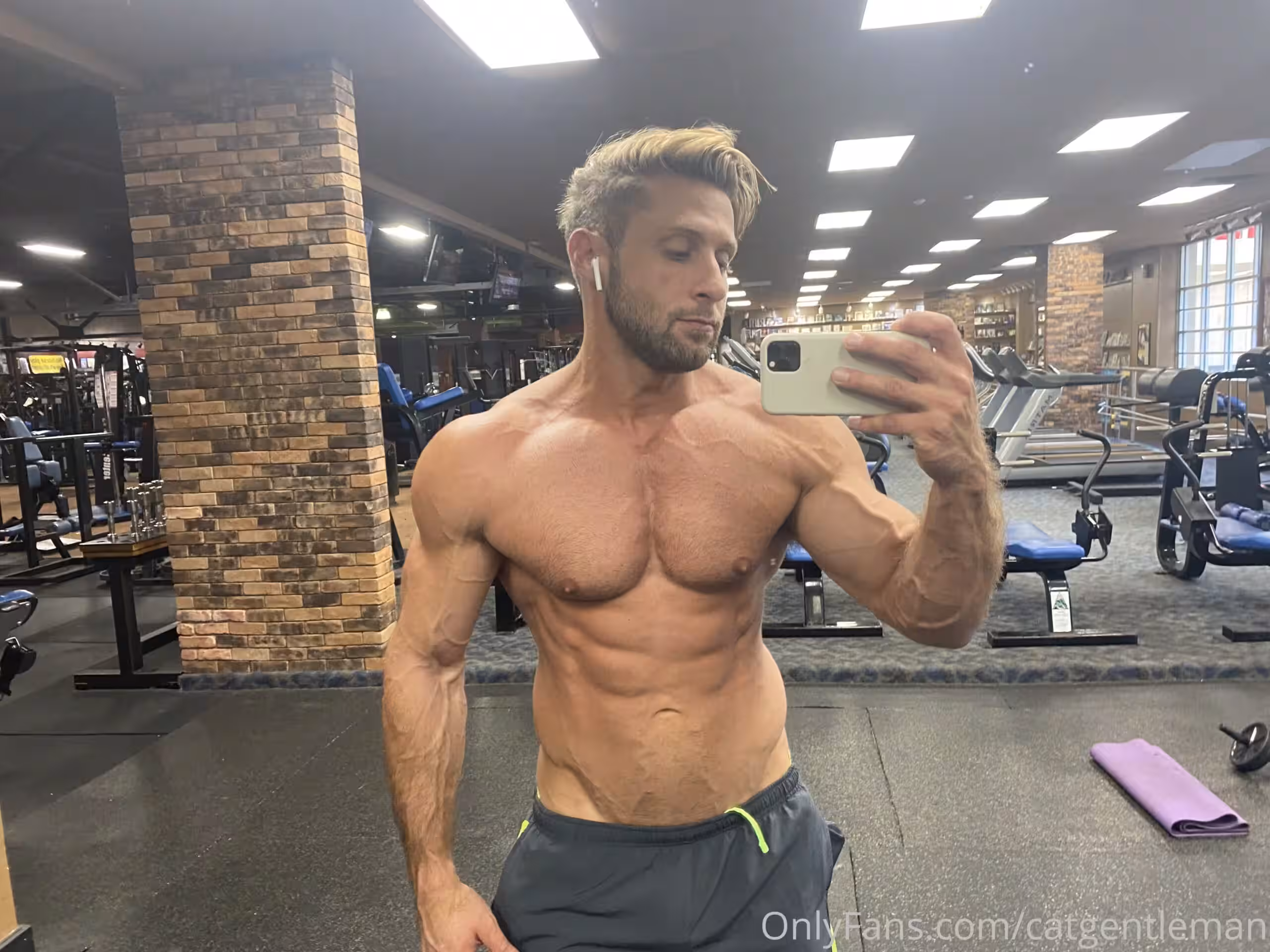 bang catgentleman Dom King pecs
0