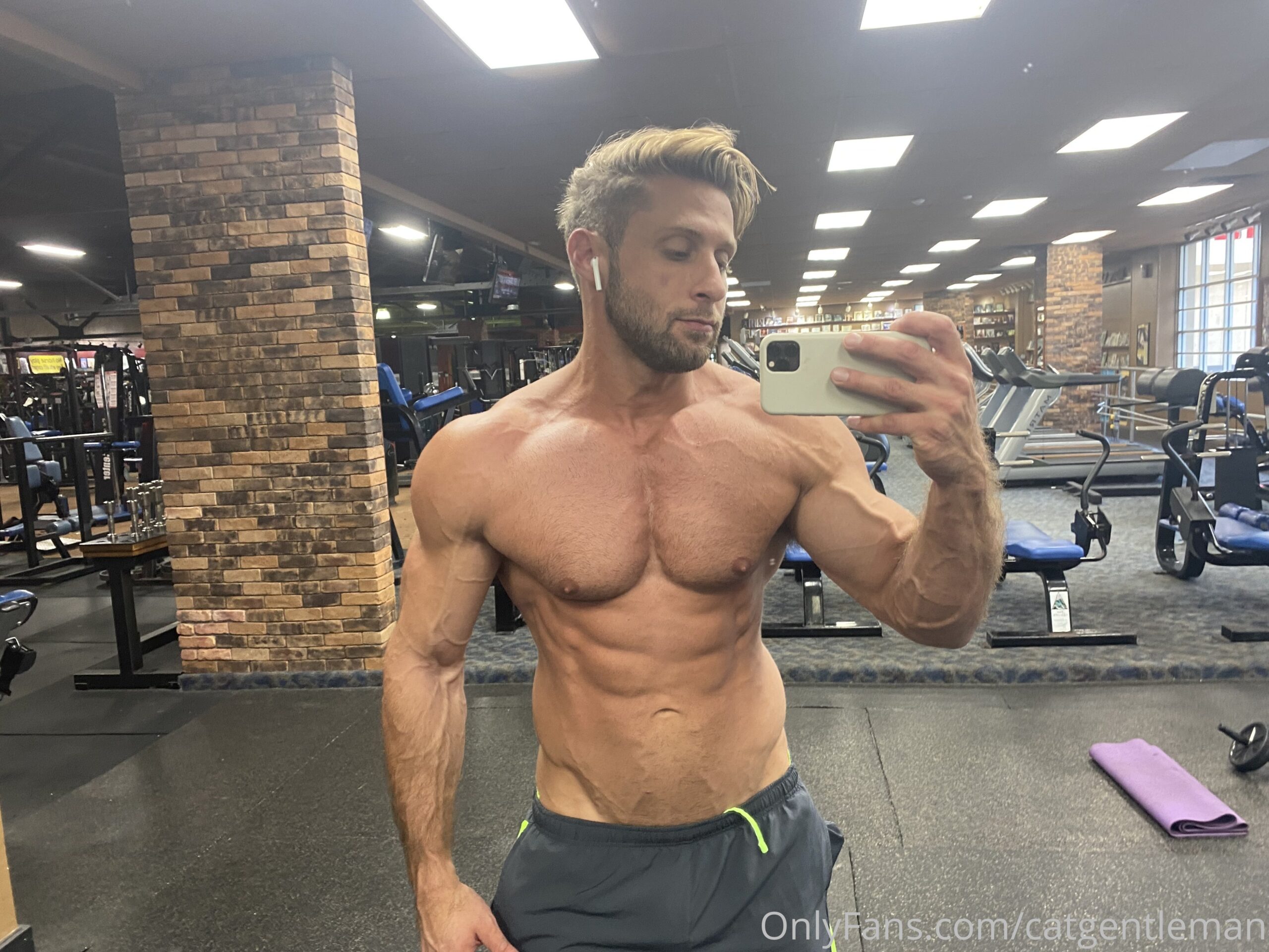 bang catgentleman Dom King pecs
3