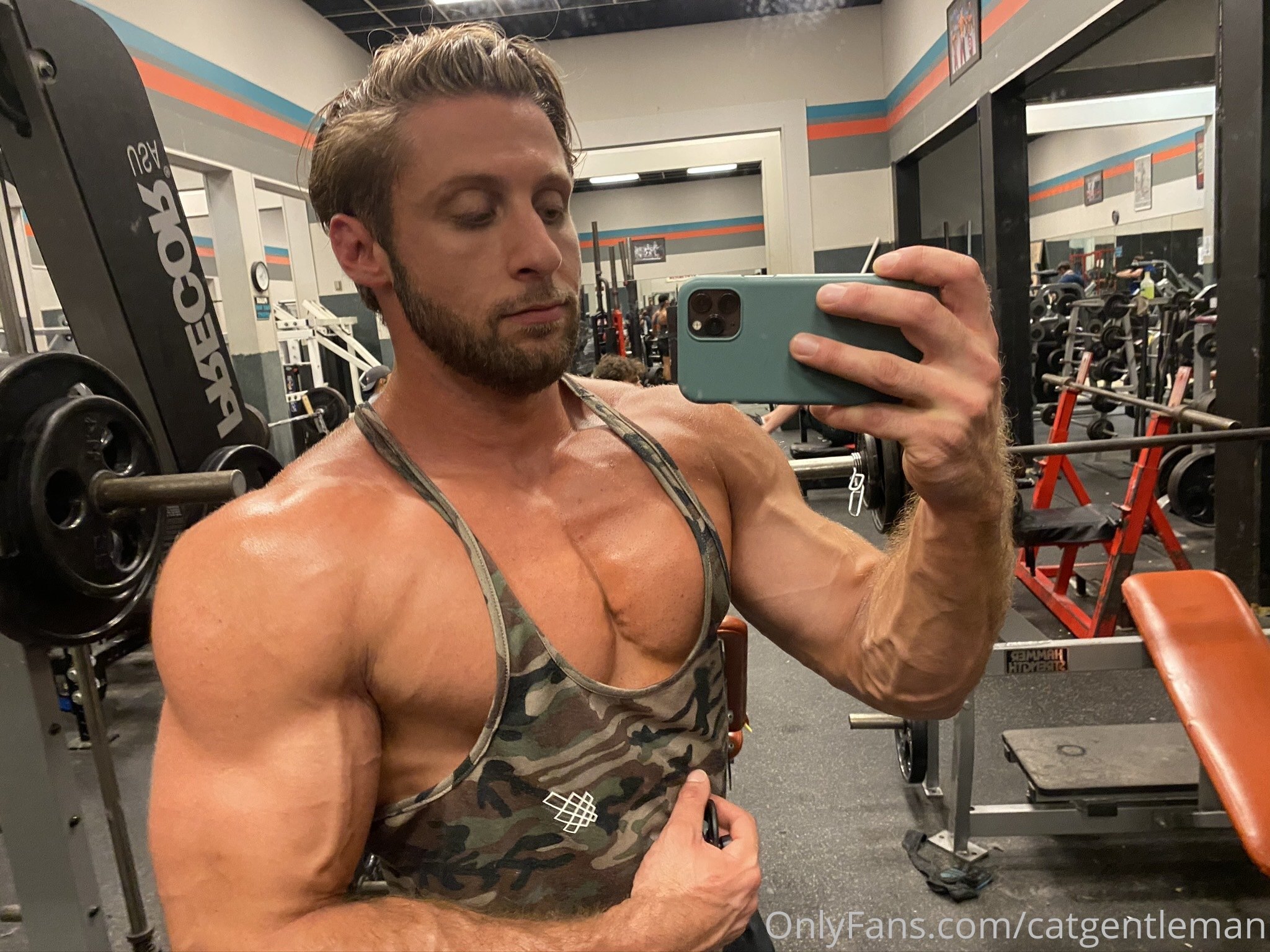 Epic Disciplined top domking   premium video
0