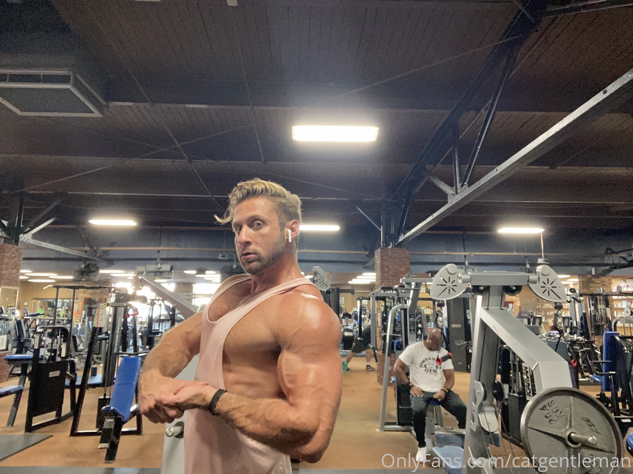 Magnetic  breed catgentleman Dom King pecs
0