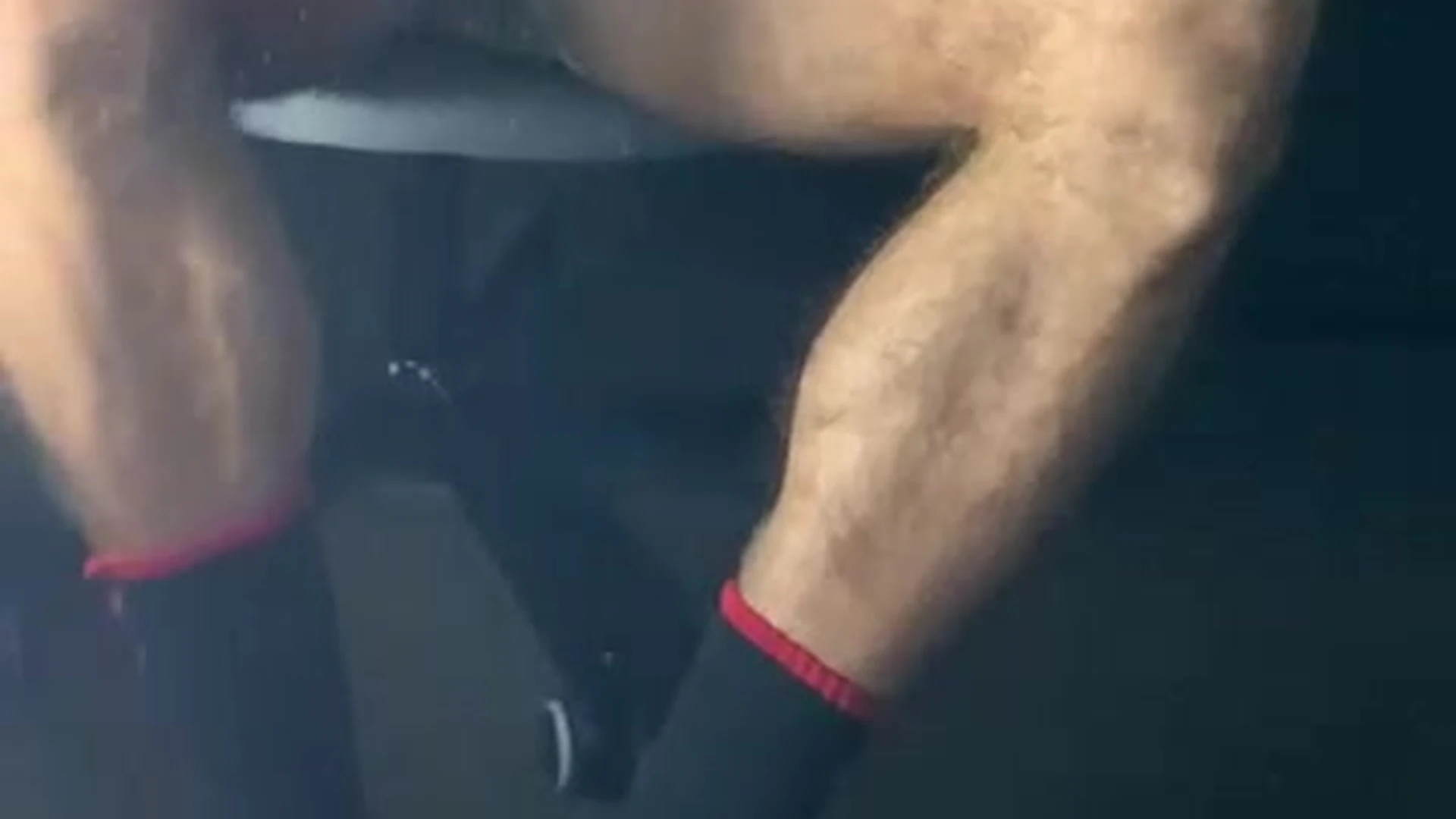 stud Samvass   Exposed
0