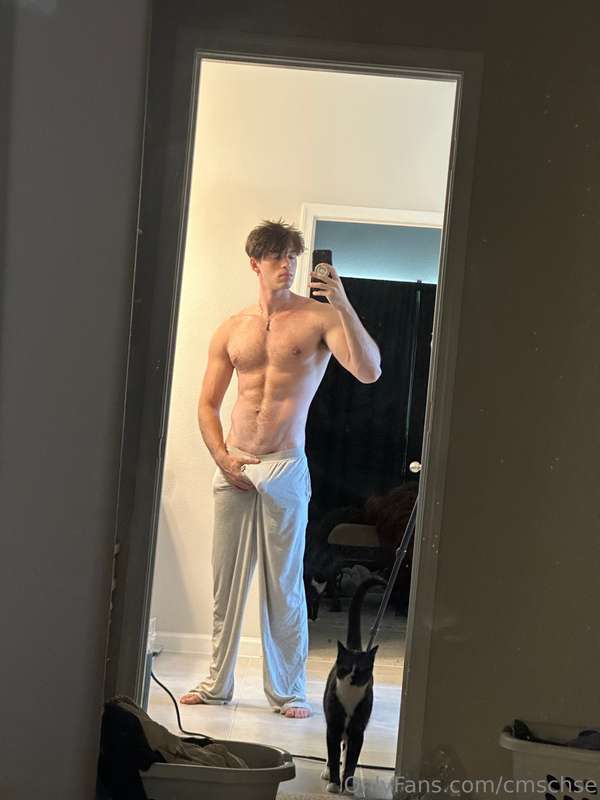 tiktok star cmschse ass
0