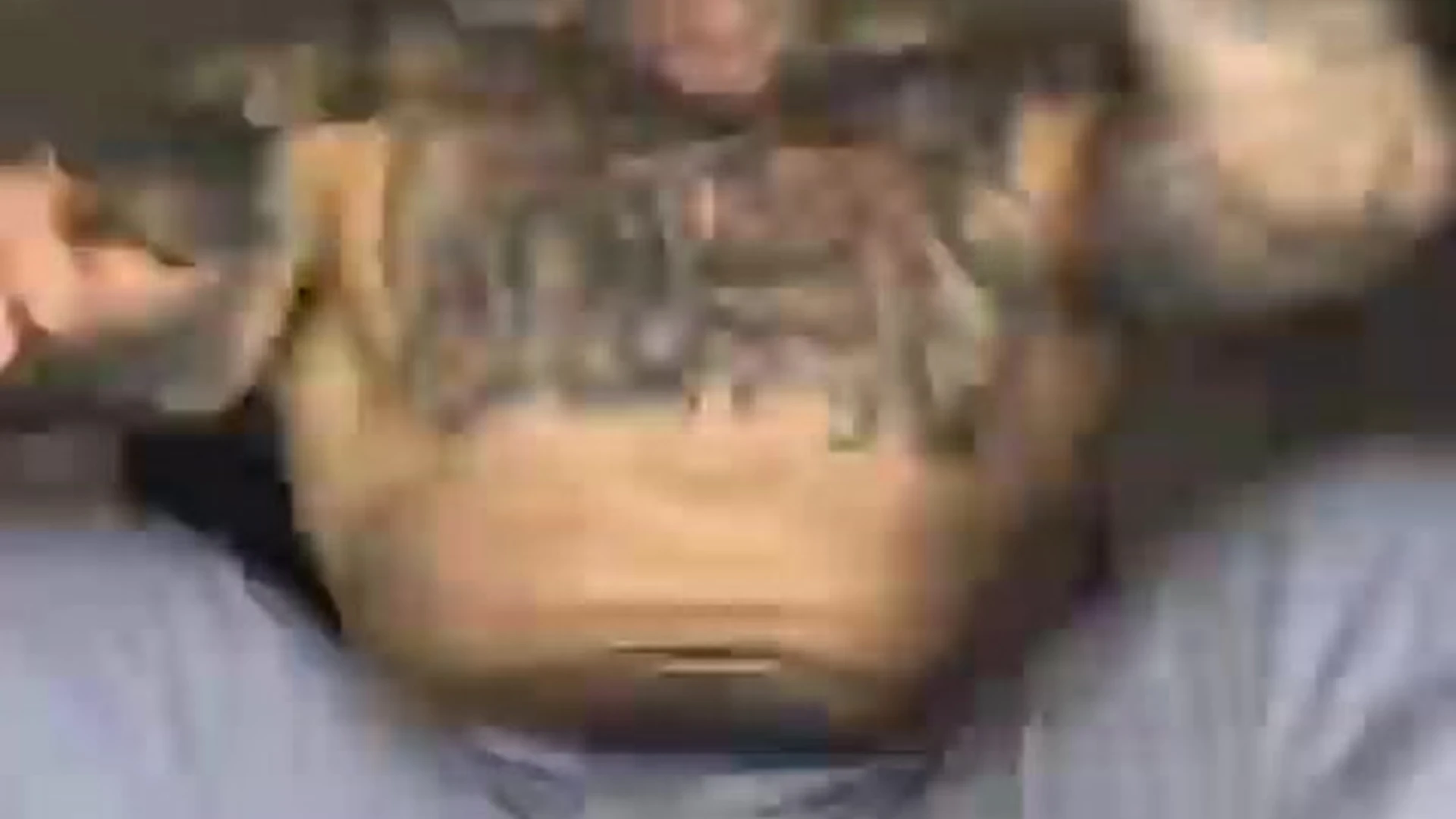 Benevolent roleplay Jakipz  huge pecs
0