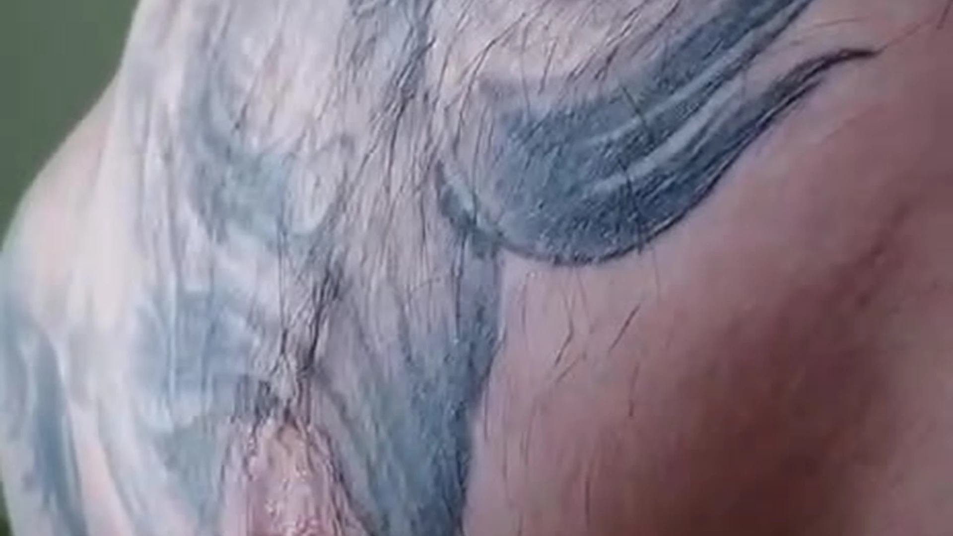 Dazzling  tiktok star Jake Andrich nude porn leak Sensational
0