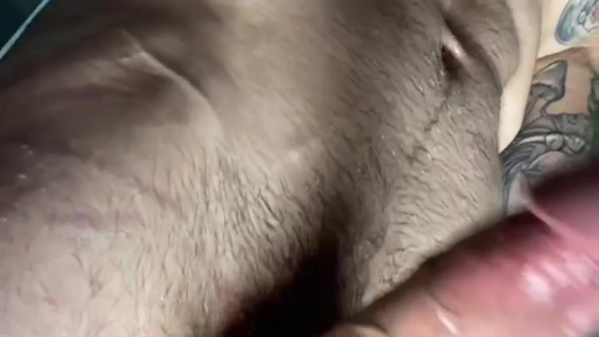 Affectionate verbal Jakipz nude porn leak Full Video Leaked
0
