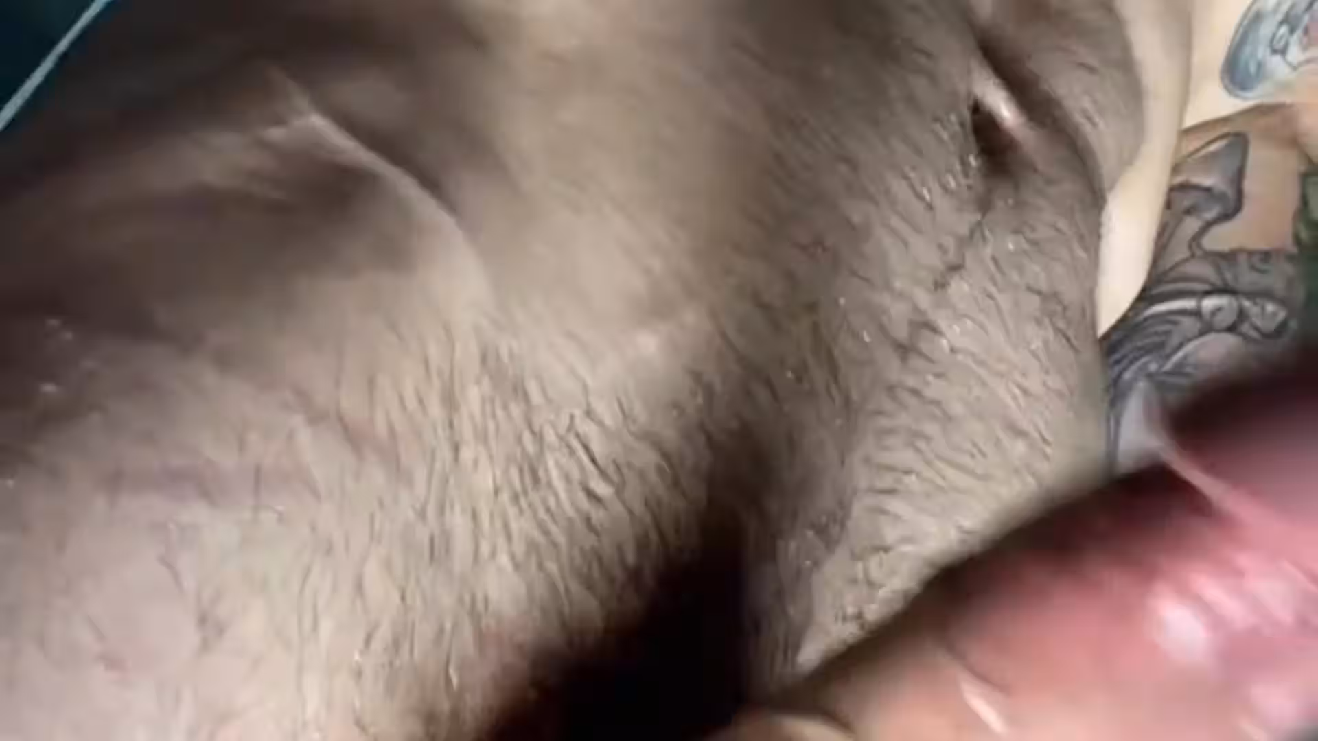 Affectionate verbal Jakipz nude porn leak Full Video Leaked
5