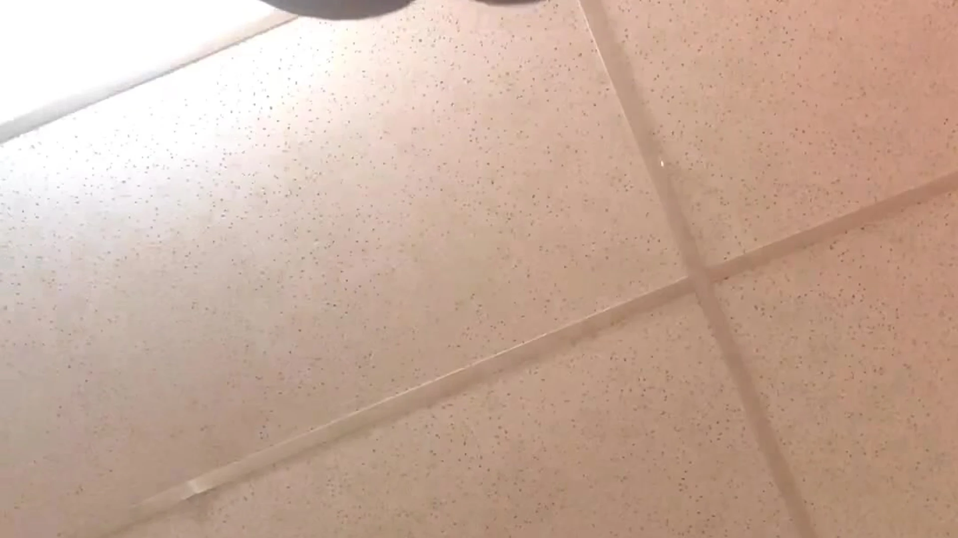 Babe swole Vegas Venom fuck Clip
							
					 0