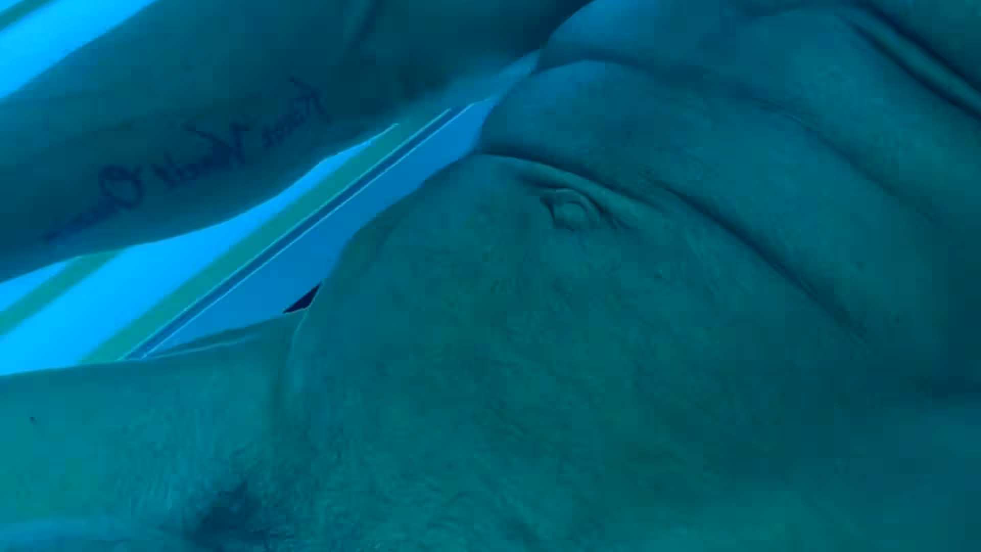 Benevolent pleasuring himself muscle god clydexxxl69 collab
0