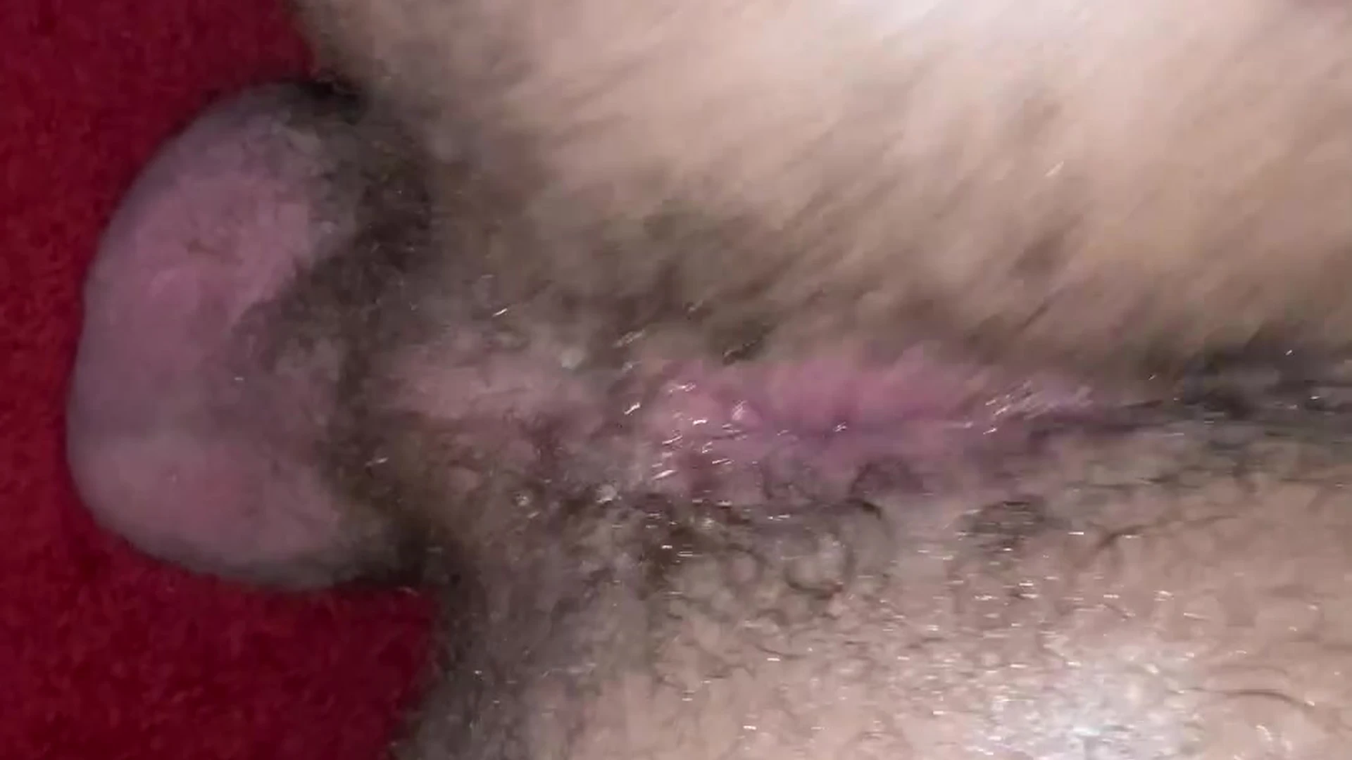 brave BBC vegasxvenom fapello
1