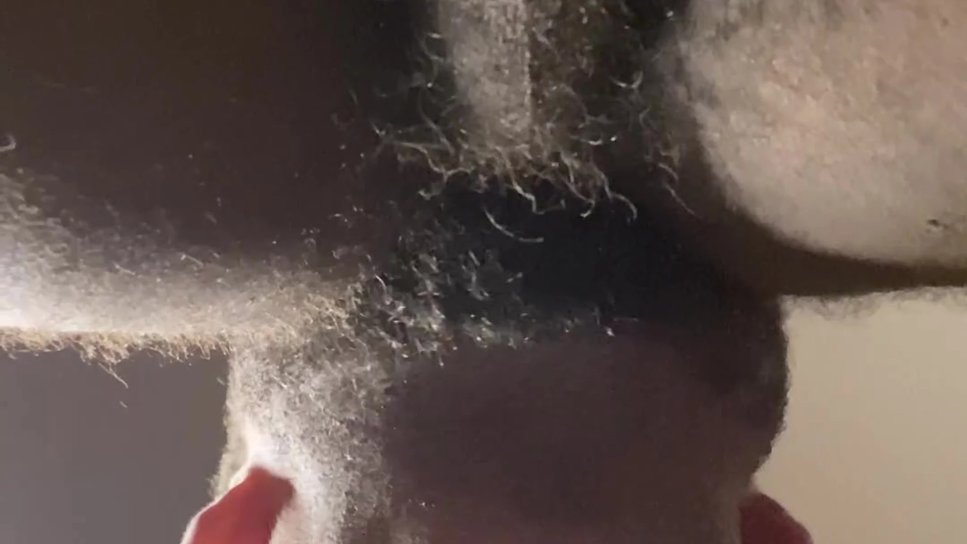 bubble butt BBC Bull Vegas Venom onlyfans leaked Vid Exposed
0