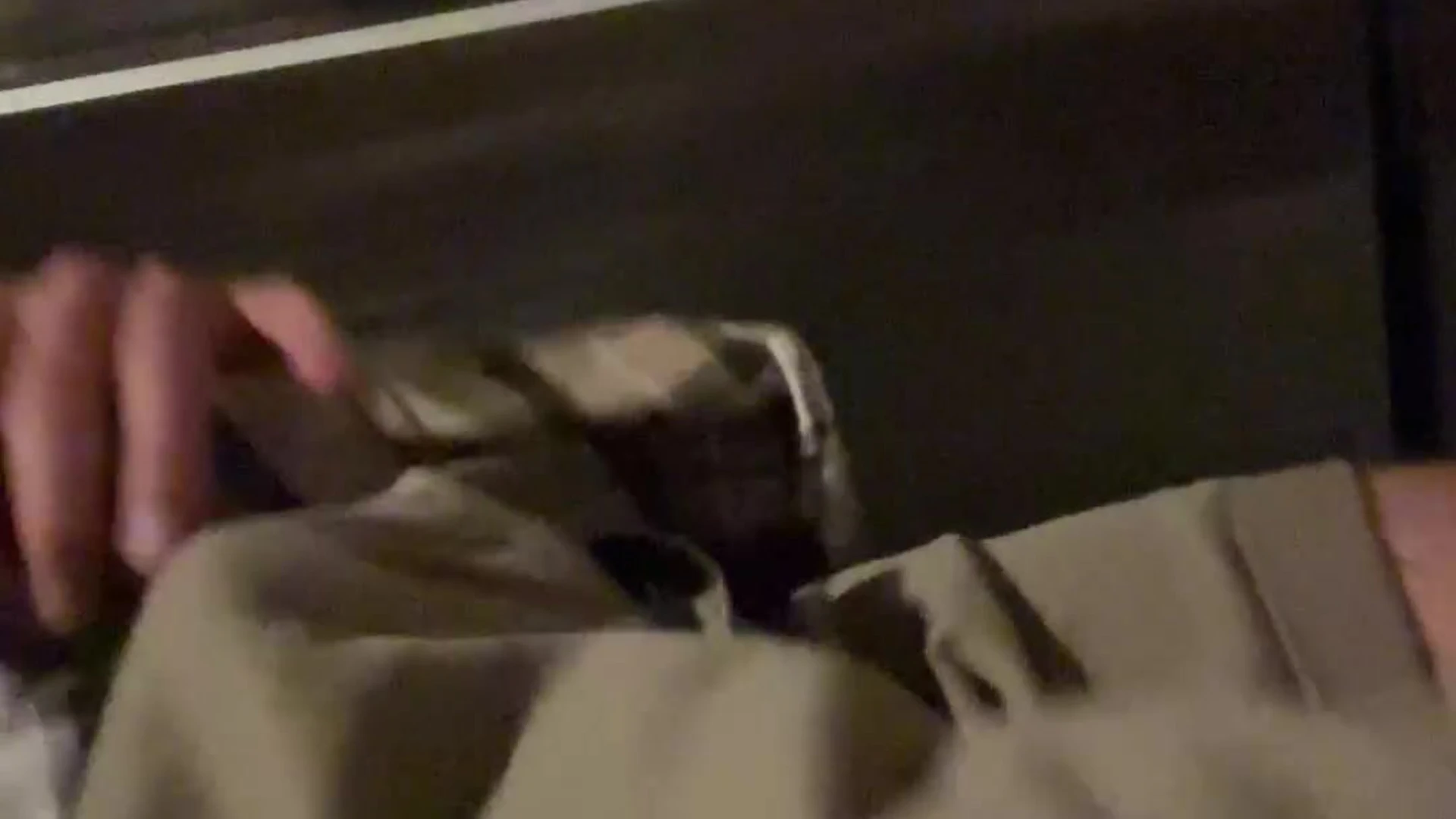 Confident  ChaseStobbe cmschse fucked video full Sensational
4