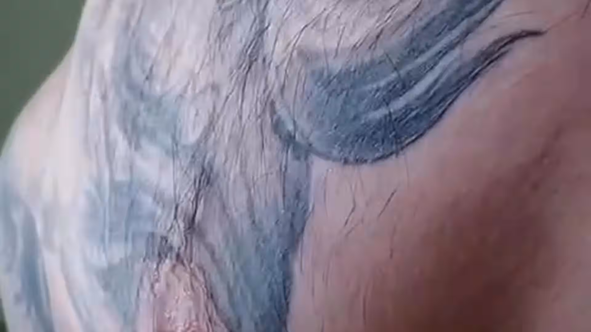 Dazzling  tiktok star Jake Andrich nude porn leak Sensational
0