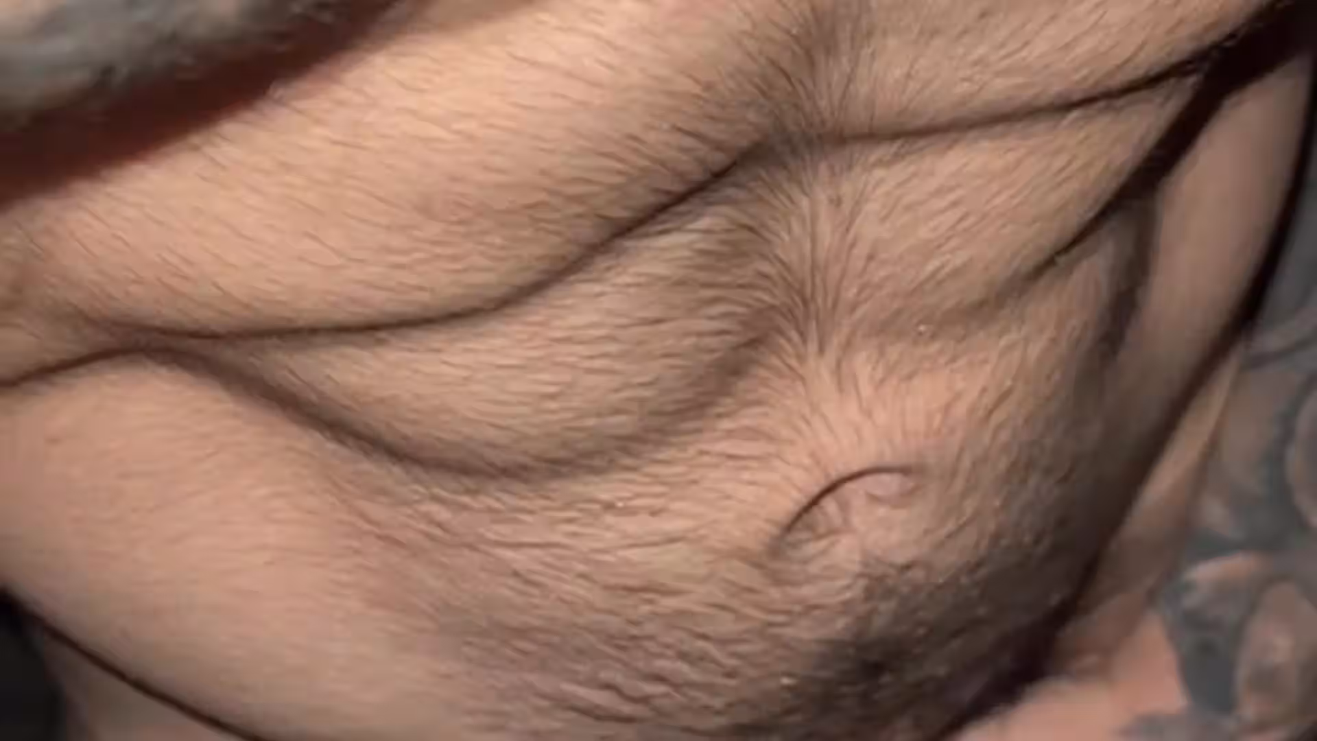 Epic huge cock Jake Andrich leaked xxx
5