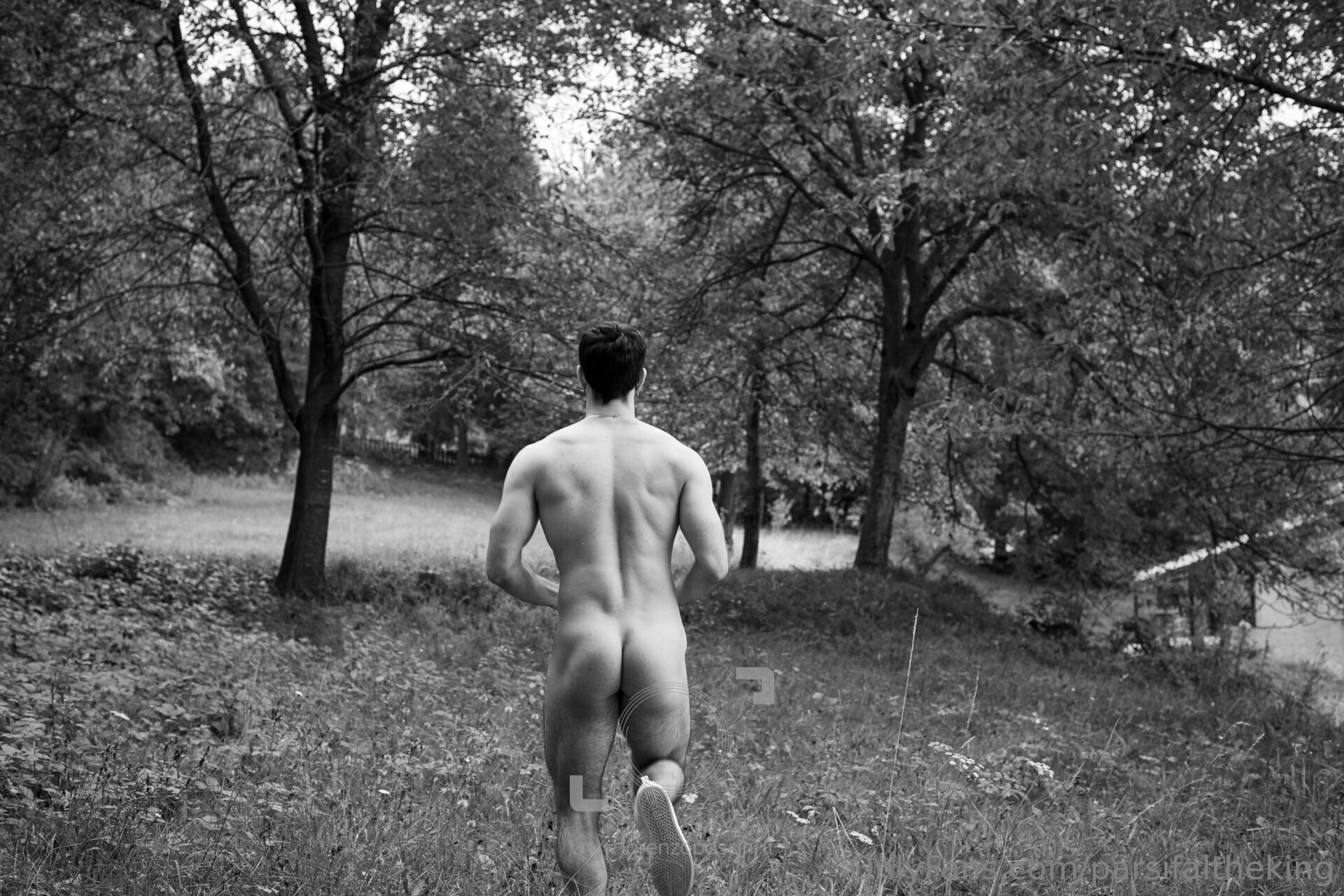 Exposed italian Parsifaltheking nude leaks
2