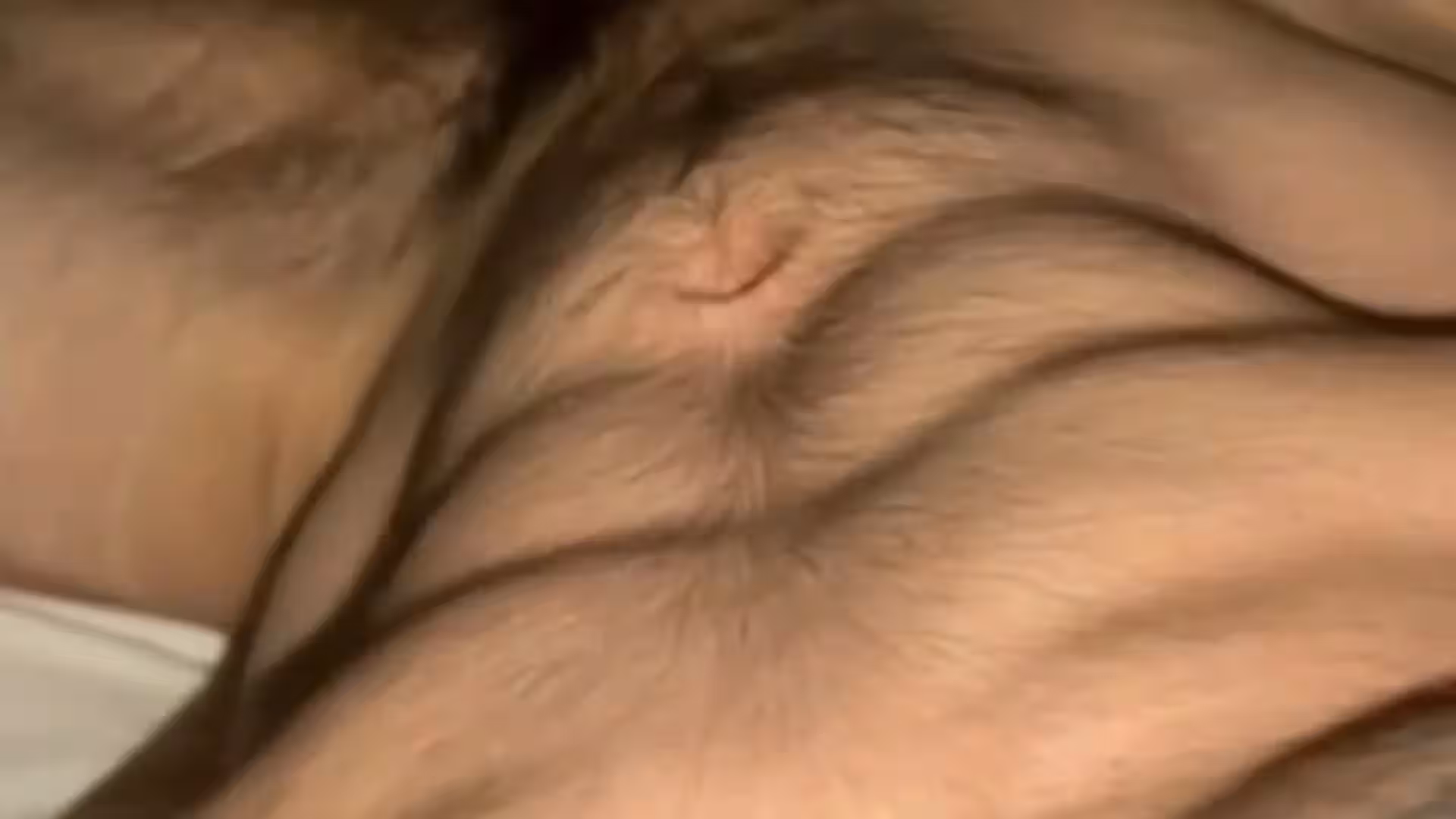 Exposed massive dick Jakipz onlyfans
0