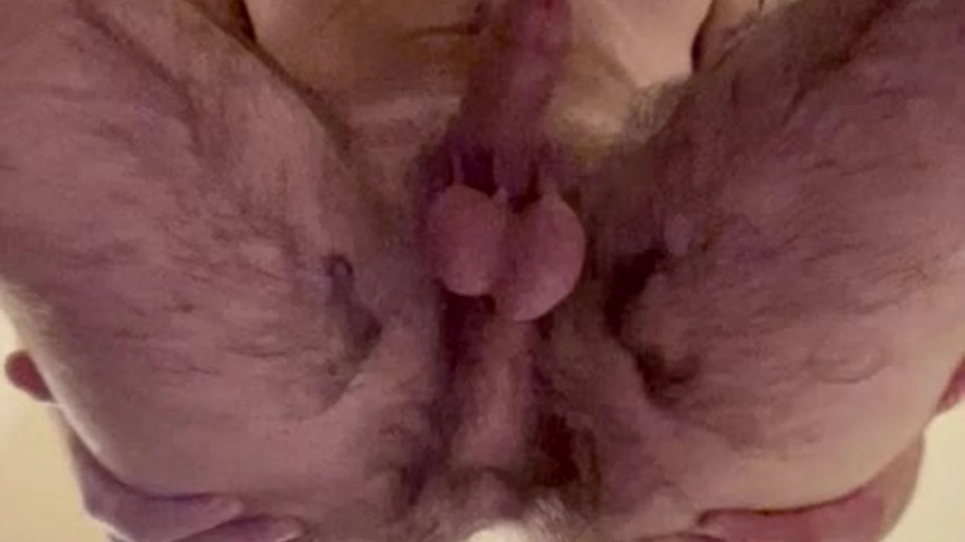 gorgeous stud Garett Nolan onlyfans naked Sensational
5