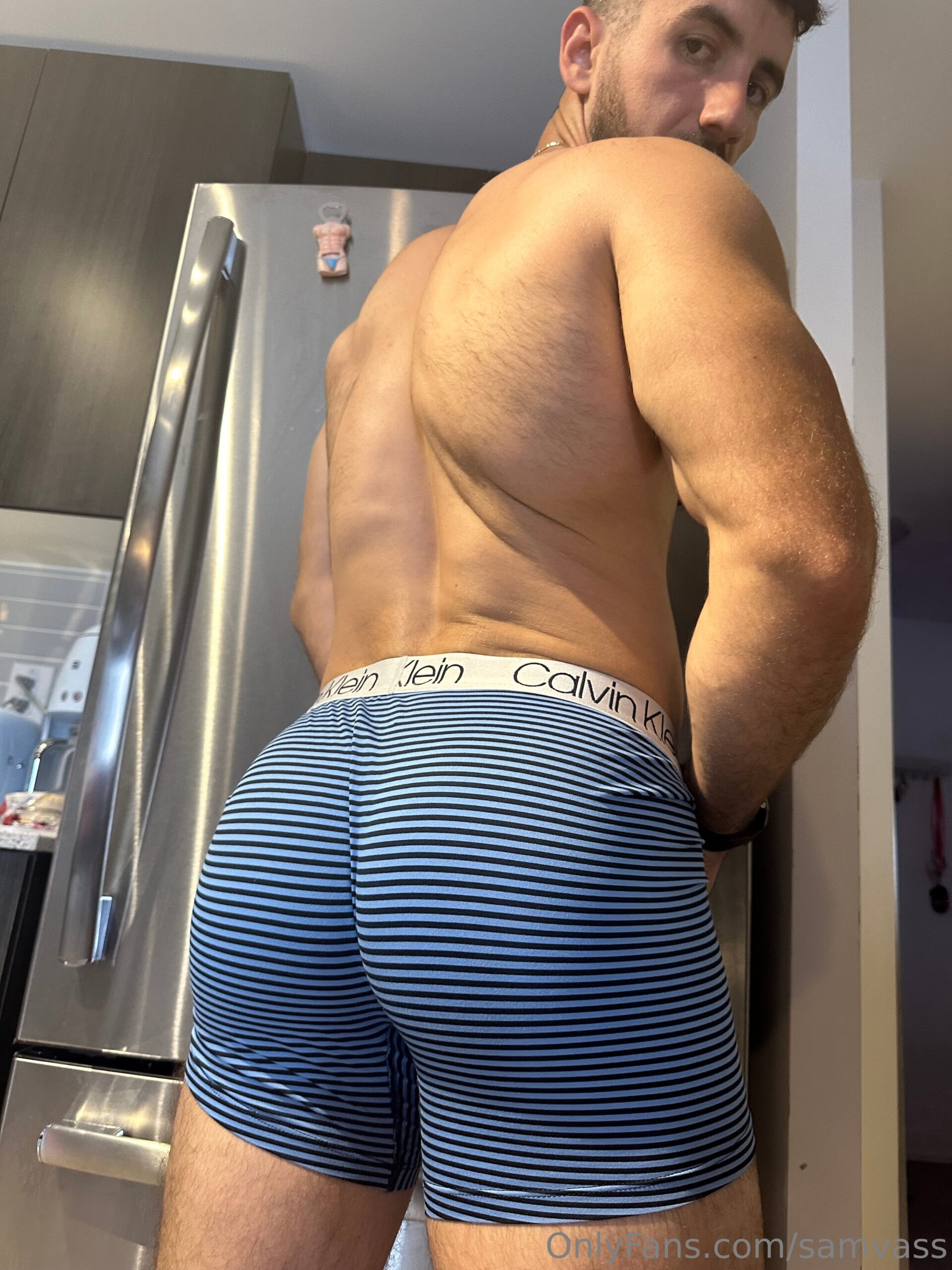 hairy Samvass
0
