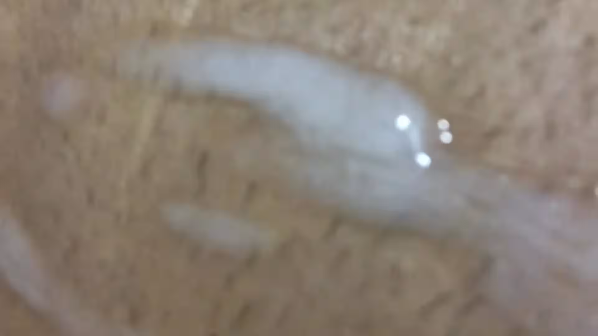 hot Chiseled jakubstefano sex leak VIDFULL Exposed
0