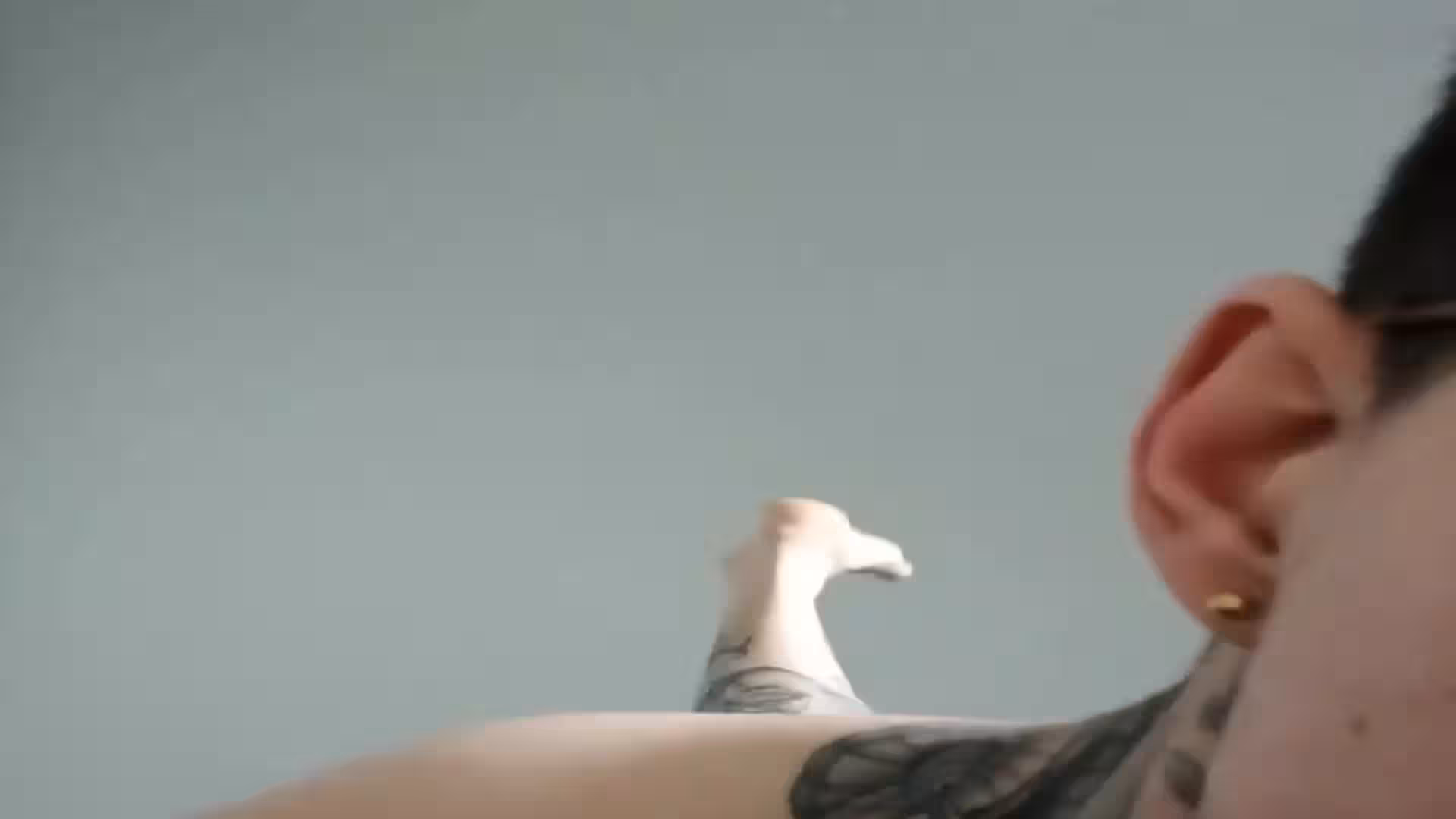 huge cock Jake Andrich nude
0