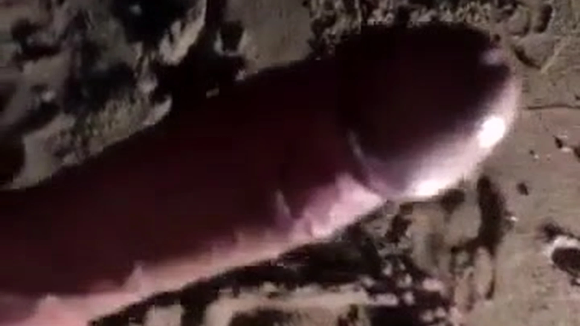 Johnny Sins – showing off (Beach)
4