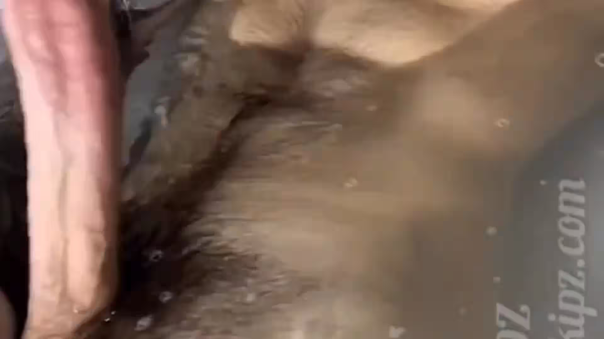 massive cock Jake Andrich Fansly leaks Epic
14