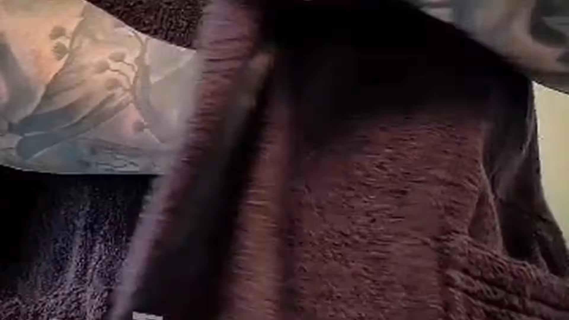 massive cock Jake Andrich sex tape Sensational
0