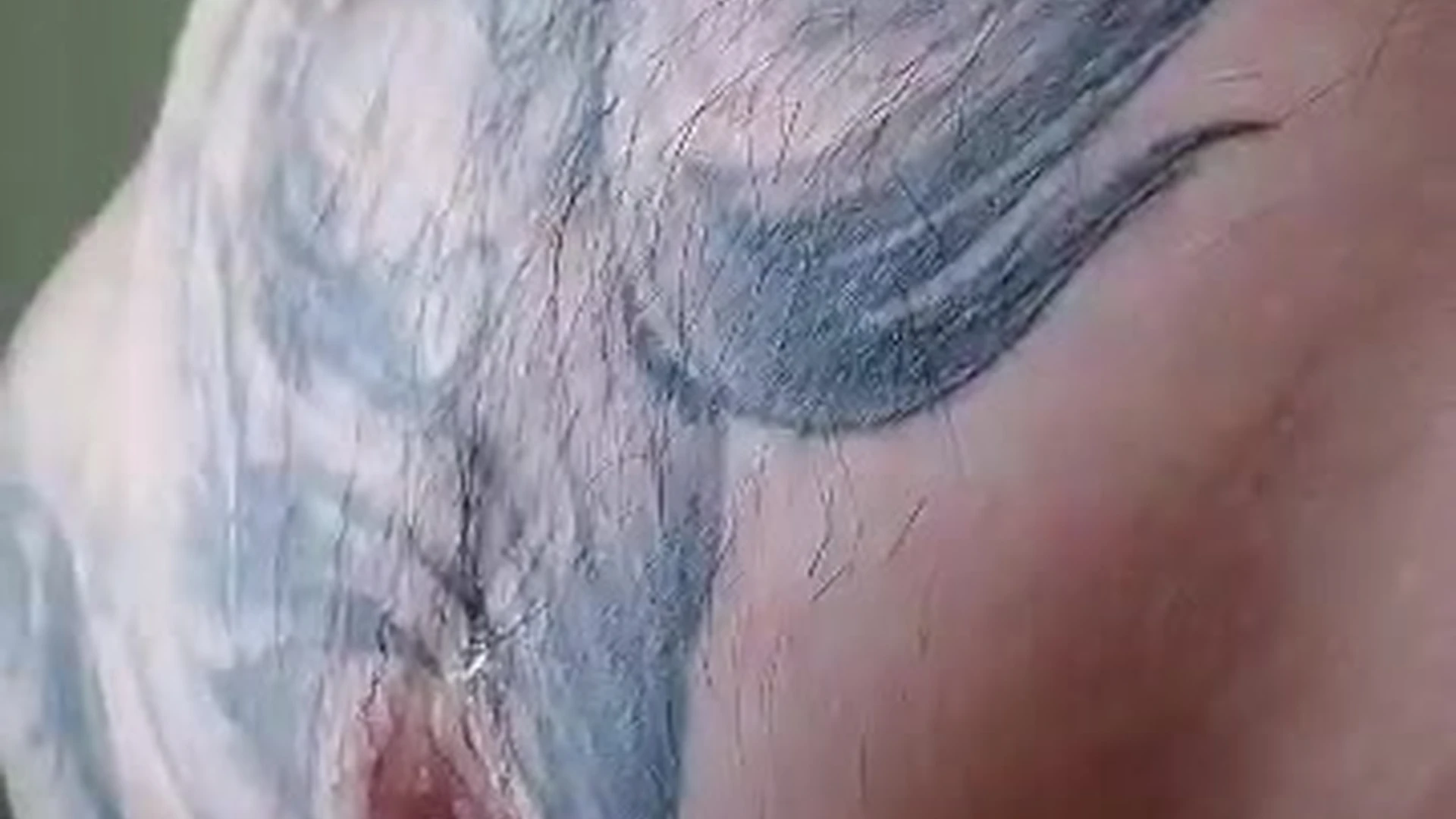 Sensational Magnetic  big cock Jake Andrich fapello
0