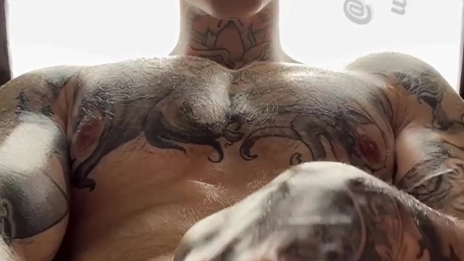 Sensational manly tiktoker Jake Andrich onlyfans leaked pics
0