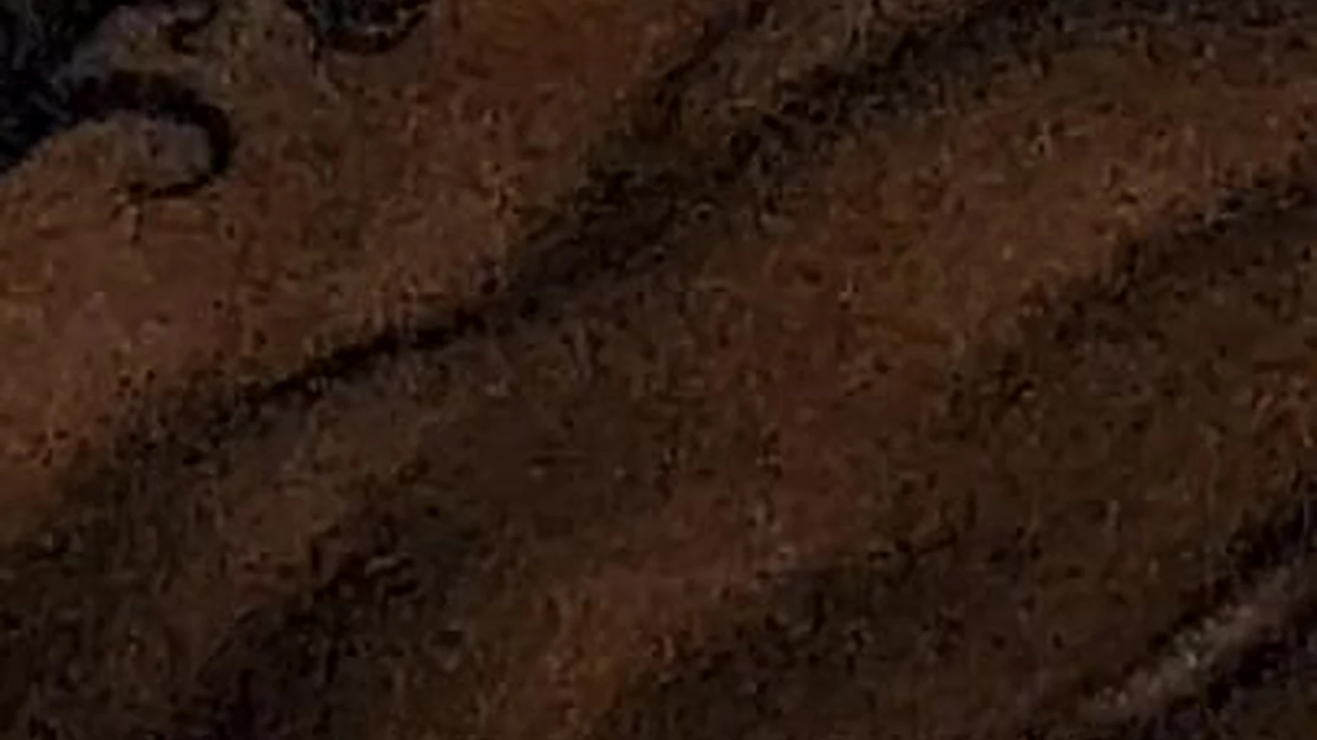 sexy slut tiktoker Jakipz leaked Full Clip
2