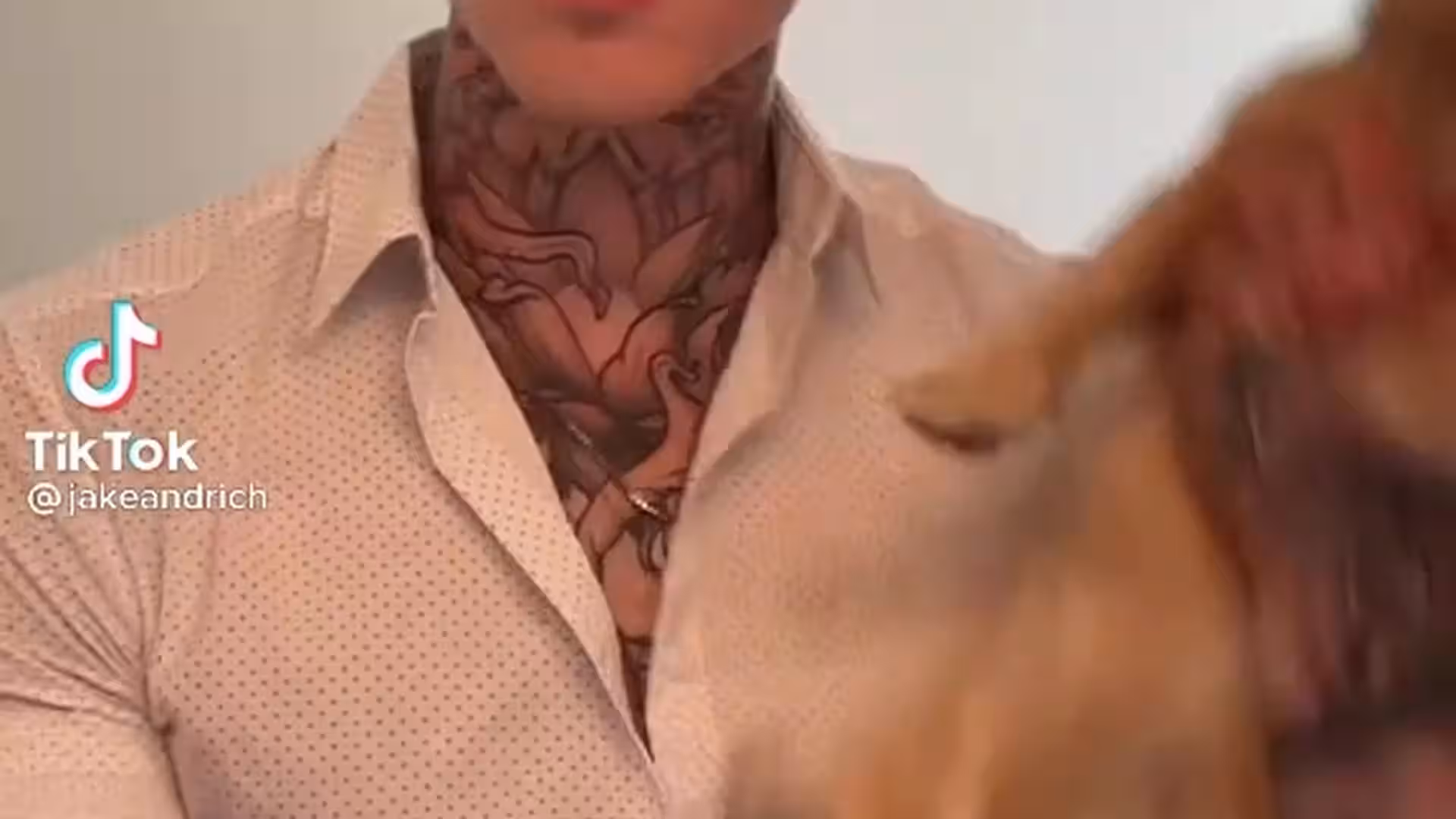 sexy slut verbal Jakipz leak xxx Exposed
2