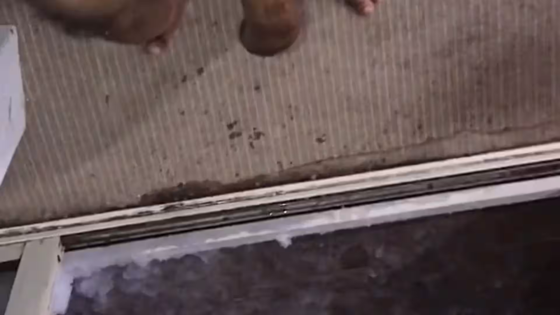 slut brownboyfitt_ Suj Khadka Nude leak EXPOSED
0