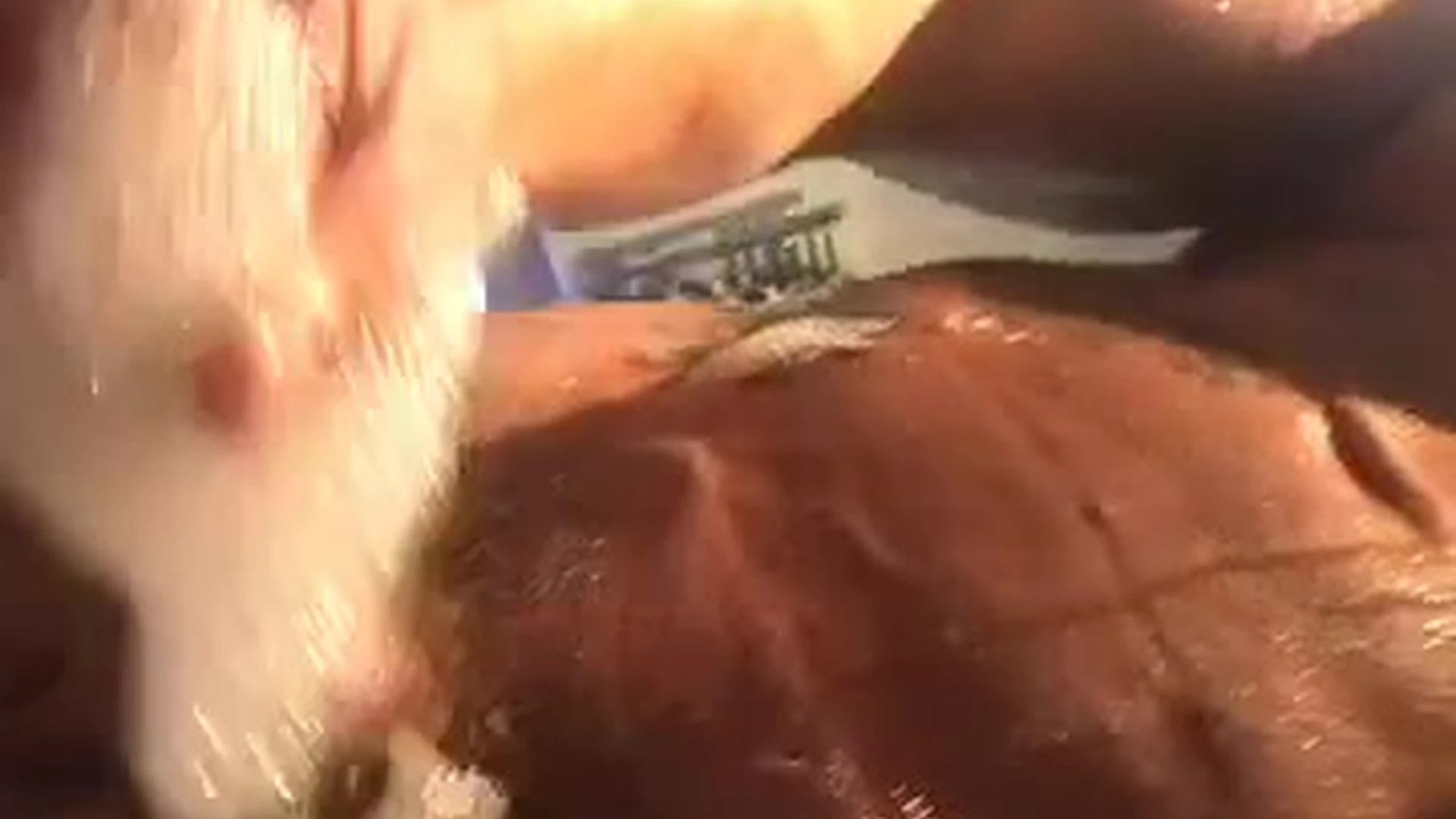 Affable  raw throatedtv nude Epic
1