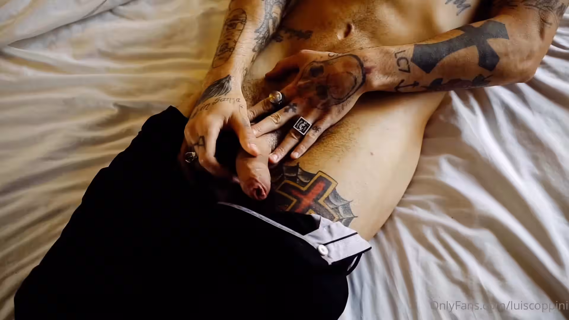 Ardente Luiscoppini fapello Video
1