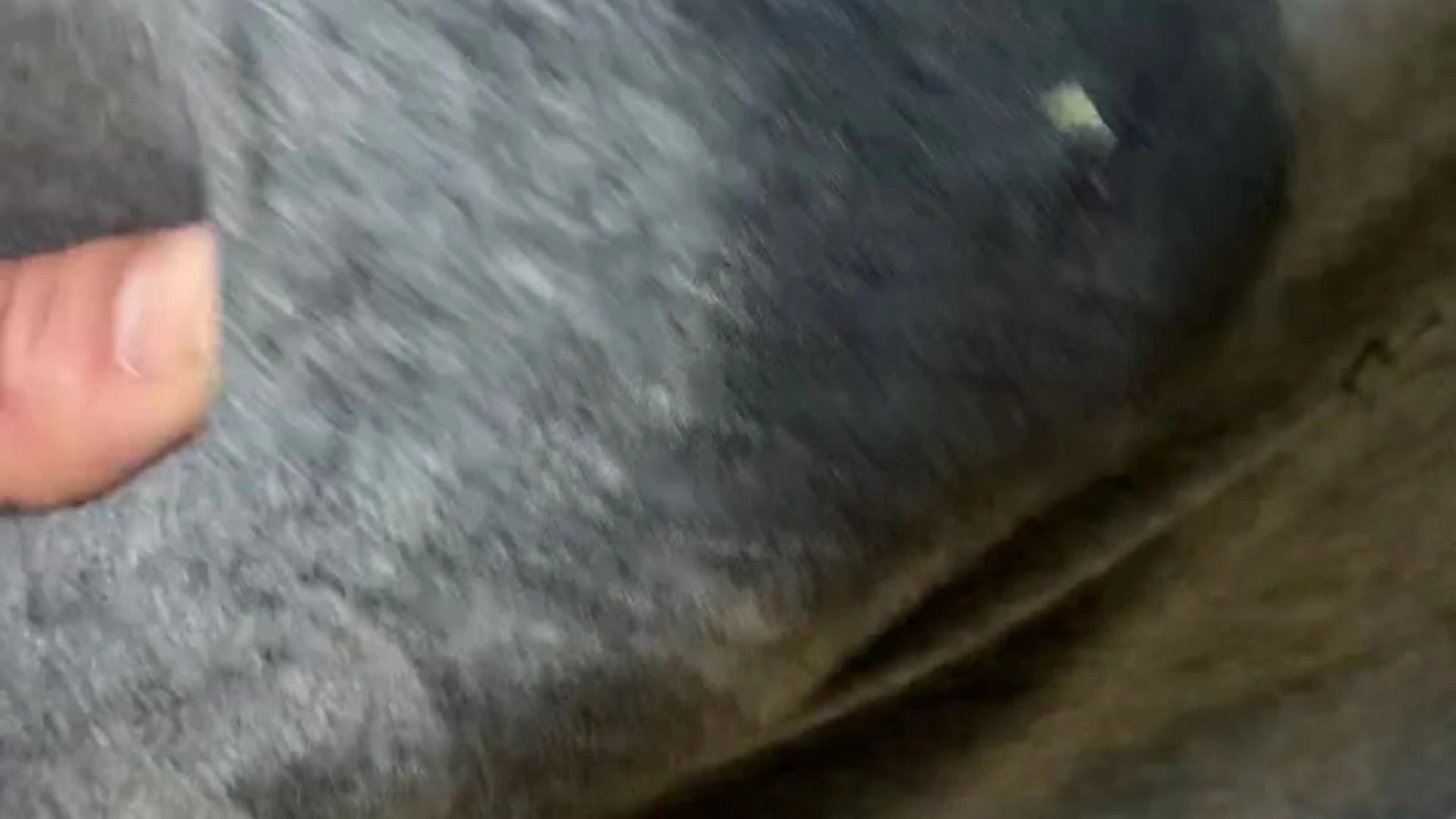 cutie pie Sculpted mariohervas ass Vid
4